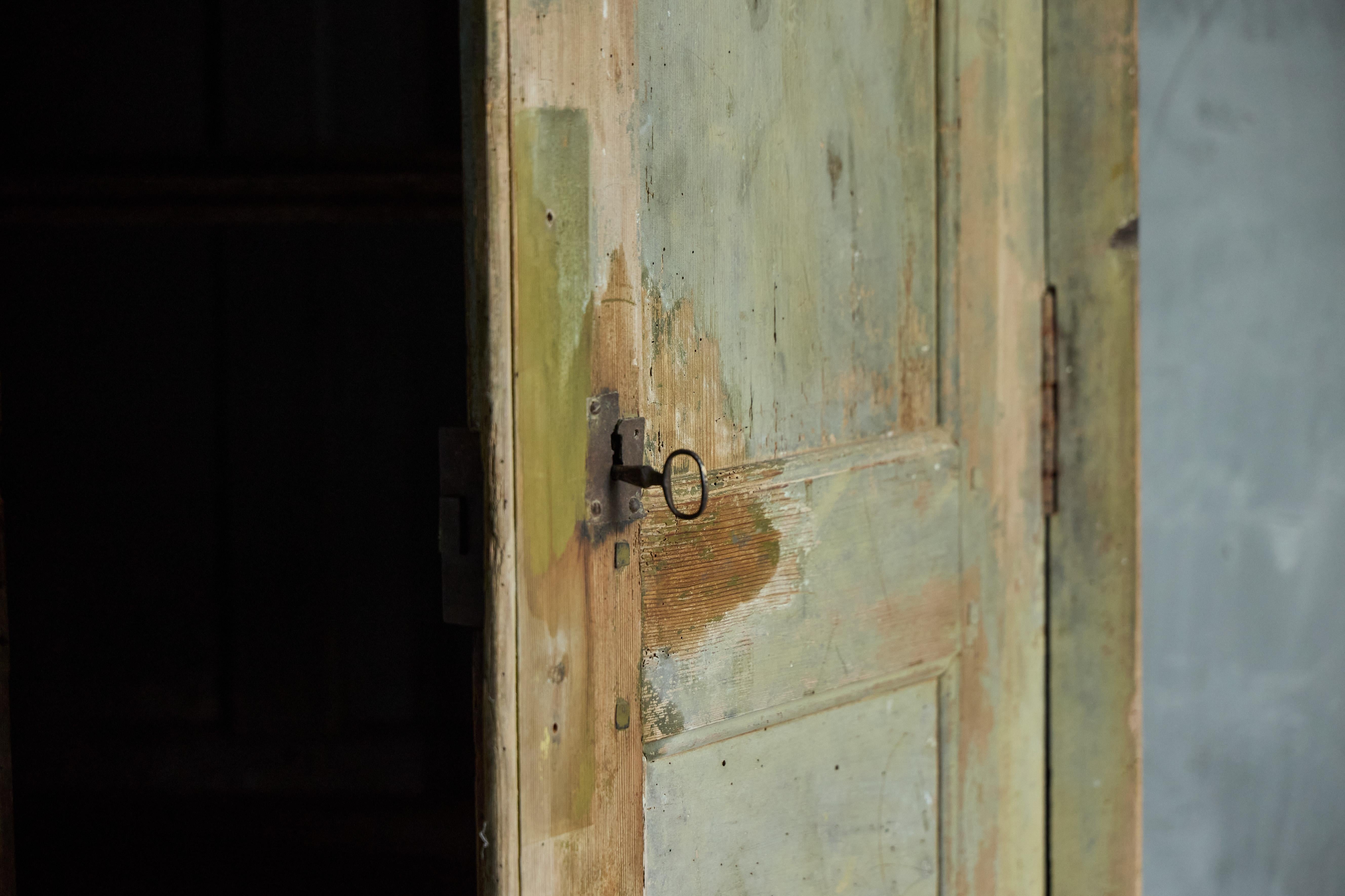 Cabinet rustique vert, France, 19e siècle en vente 4