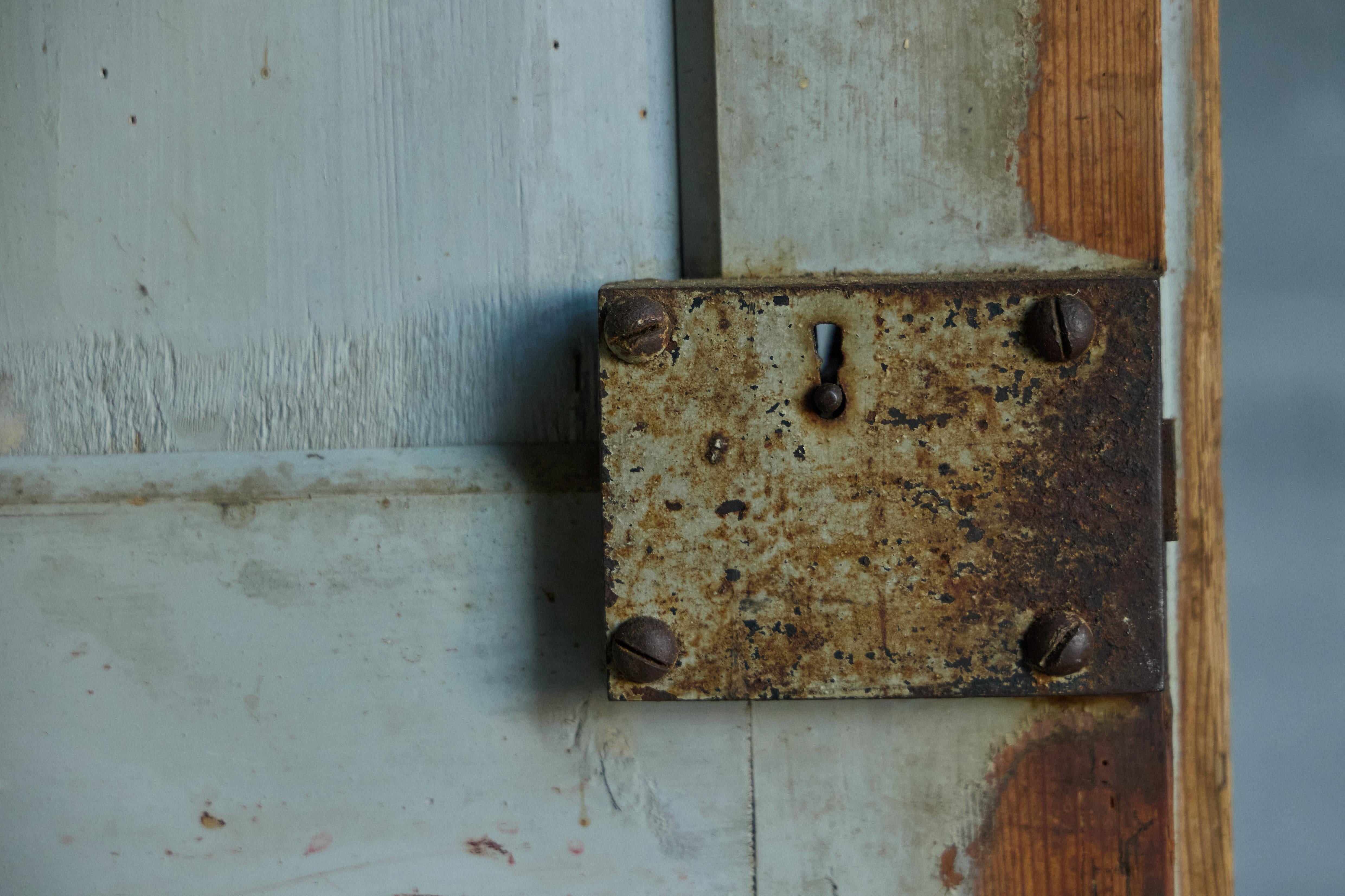 Cabinet rustique vert, France, 19e siècle en vente 2