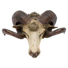 Taxidermia rústica de cabeza de carnero