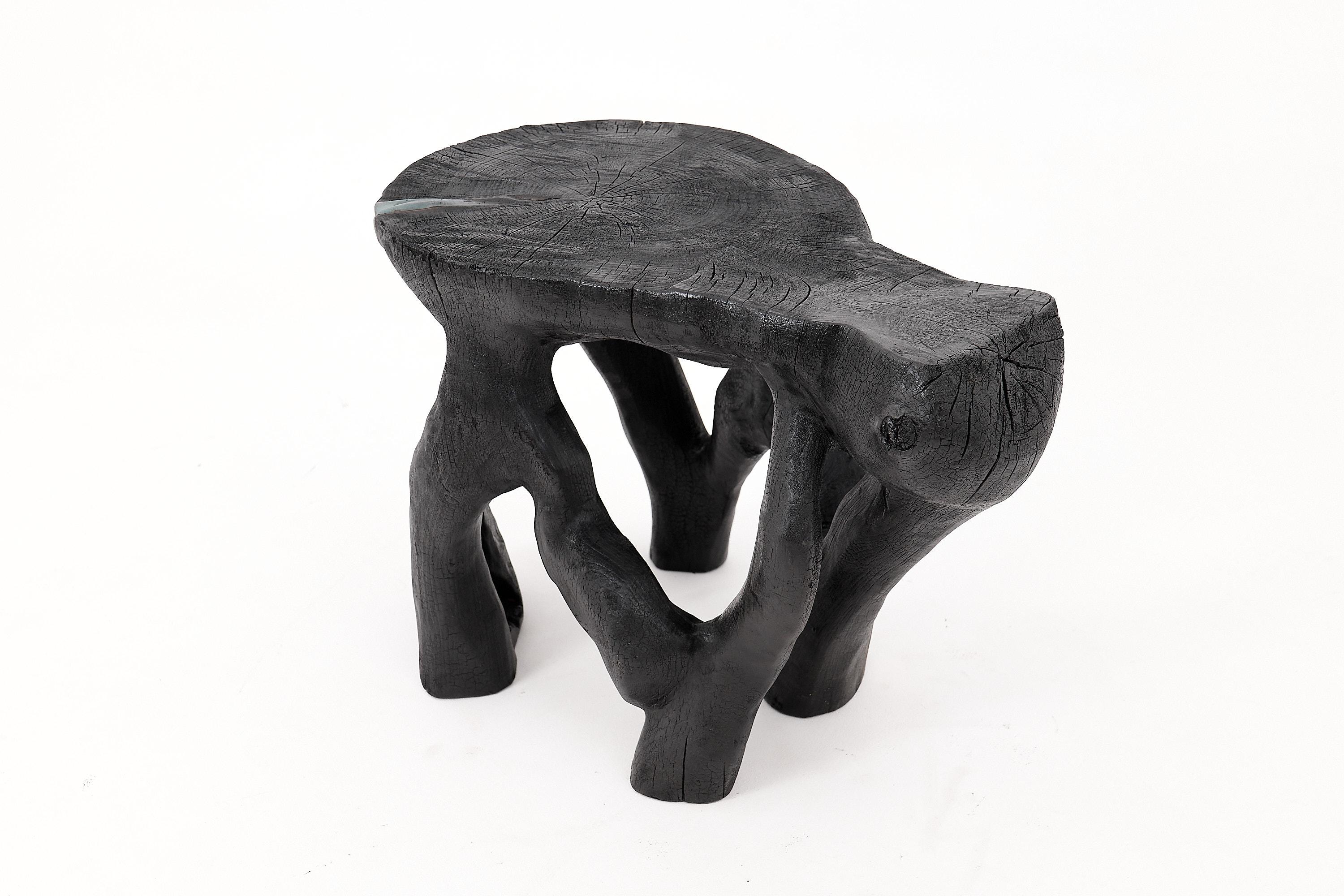 Mesa de centro escultórica rústica, madera negra quemada, tallada, única, muebles de madera en venta 6