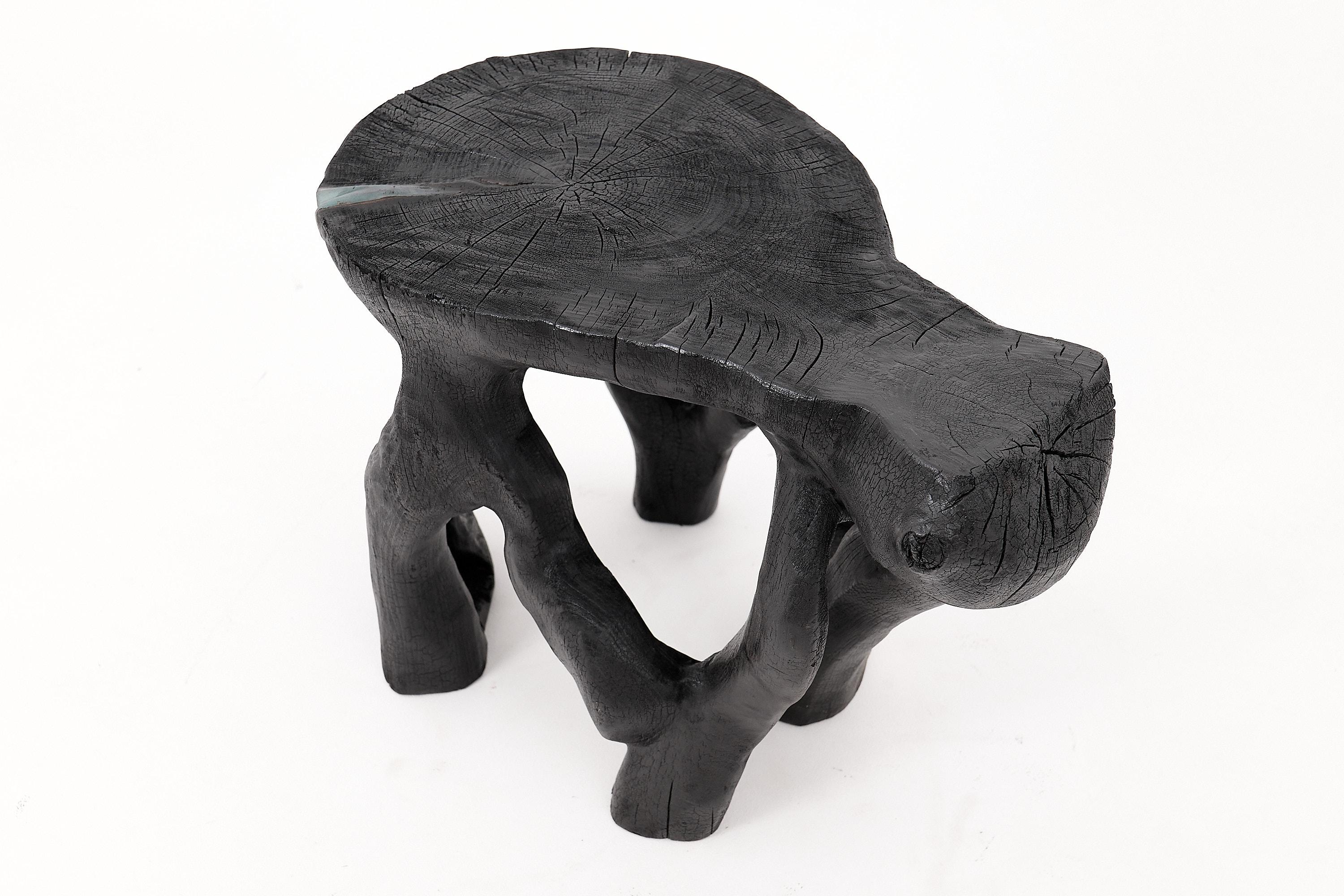 Mesa de centro escultórica rústica, madera negra quemada, tallada, única, muebles de madera en venta 7