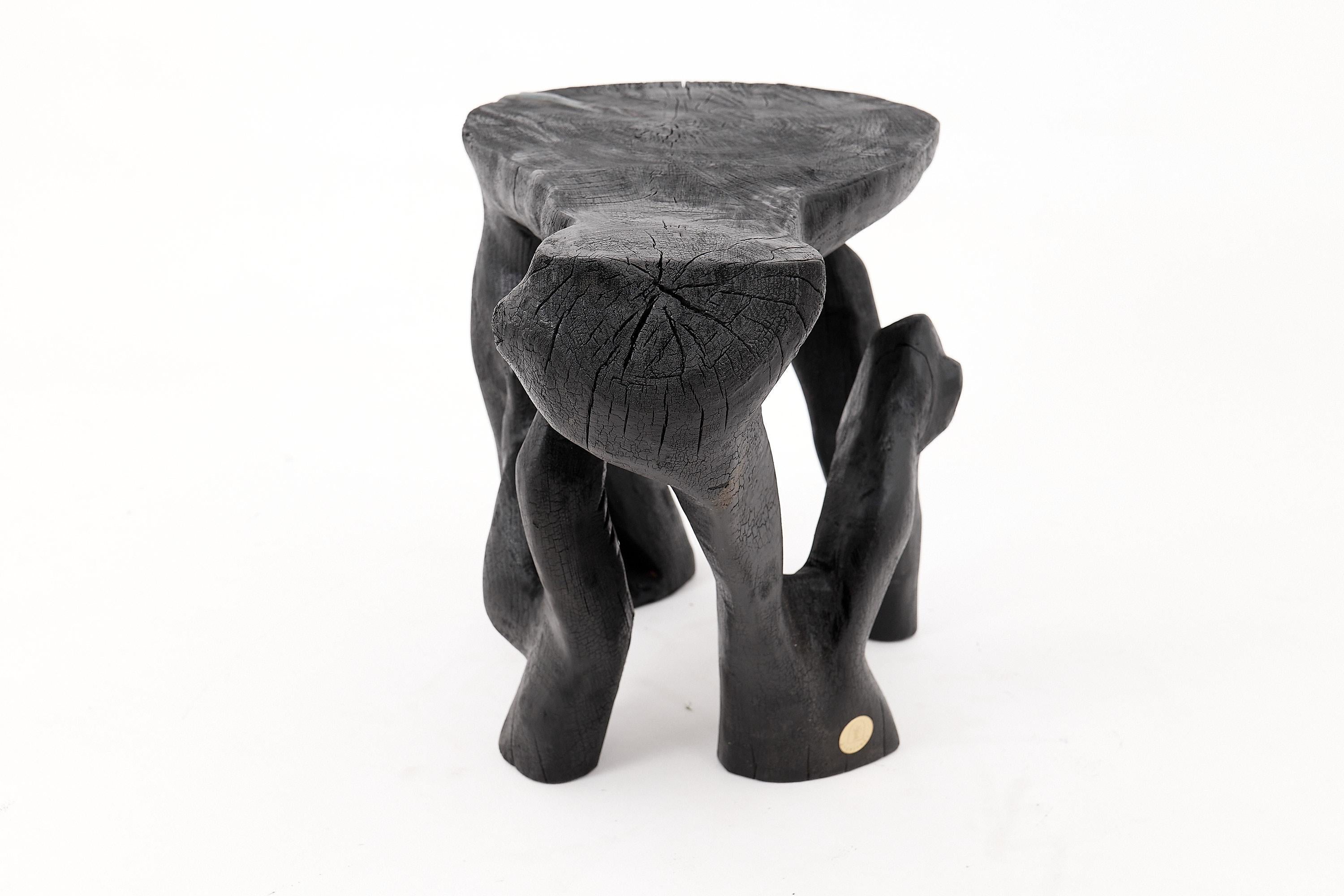 Mesa de centro escultórica rústica, madera negra quemada, tallada, única, muebles de madera en venta 8