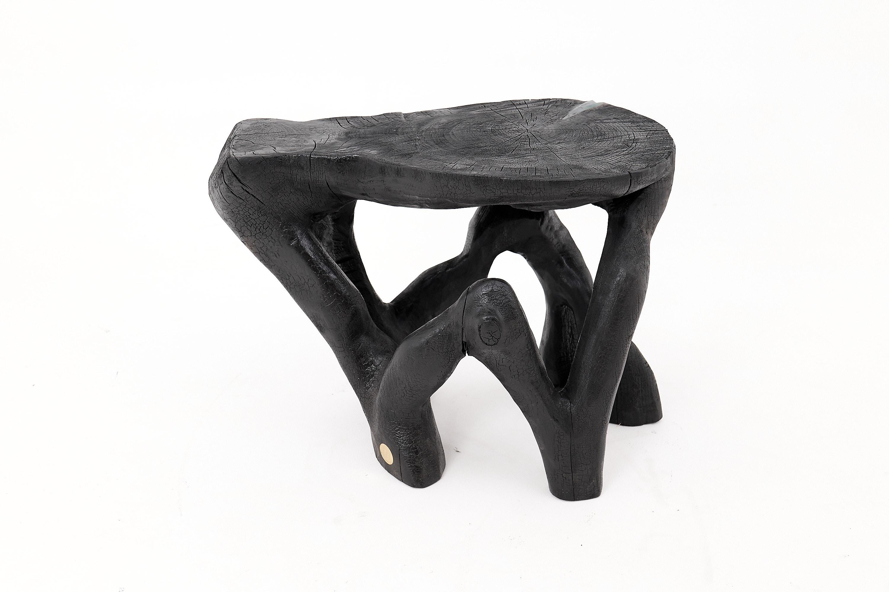 Esta mesa de centro escultural es una obra de arte funcional única en su género, tallada a mano a partir de un único tronco de madera dura y carbonizada mediante la técnica tradicional shou sugi ban. Su silueta orgánica evoca raíces ramificadas y