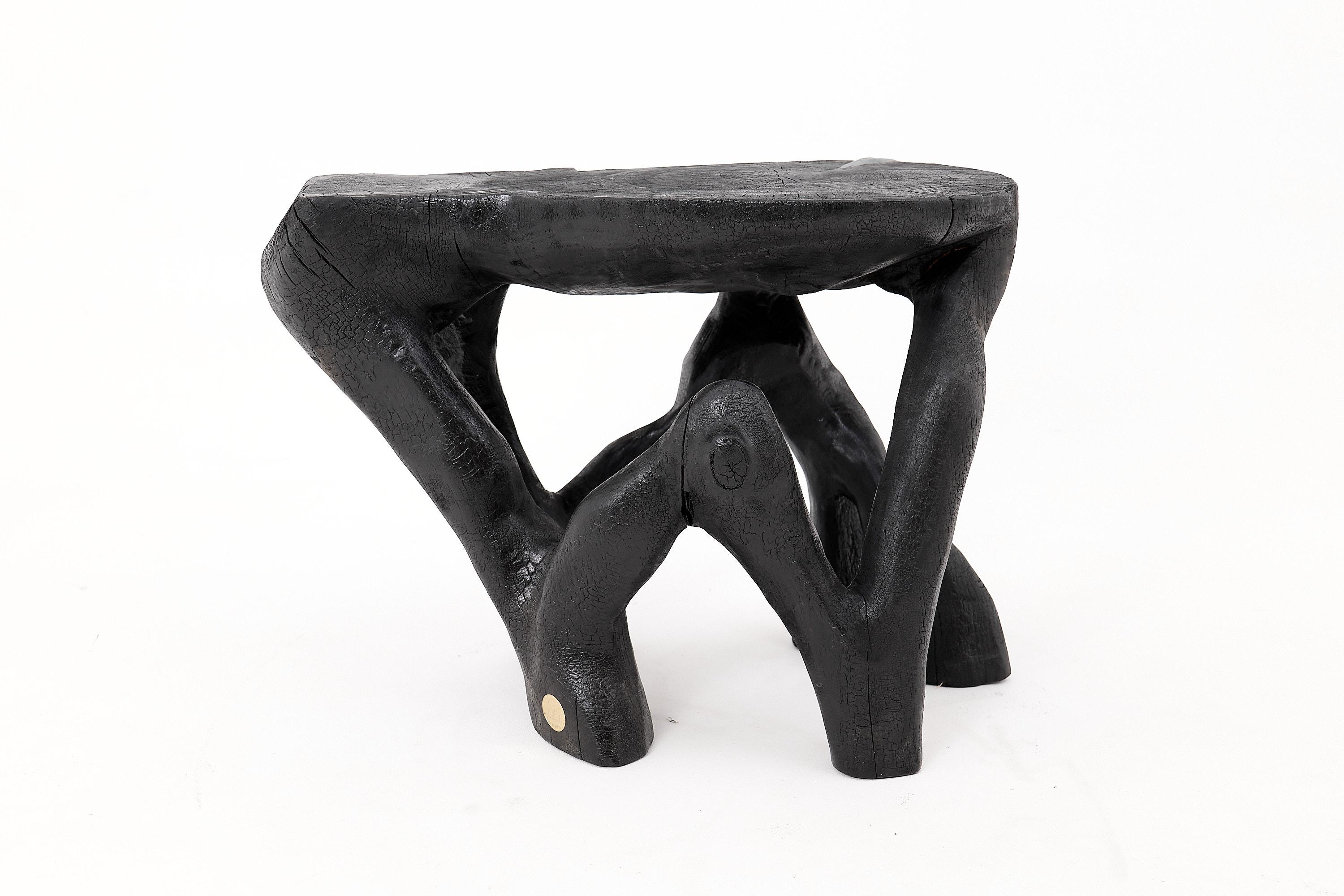Mesa de centro escultórica rústica, madera negra quemada, tallada, única, muebles de madera Croata en venta