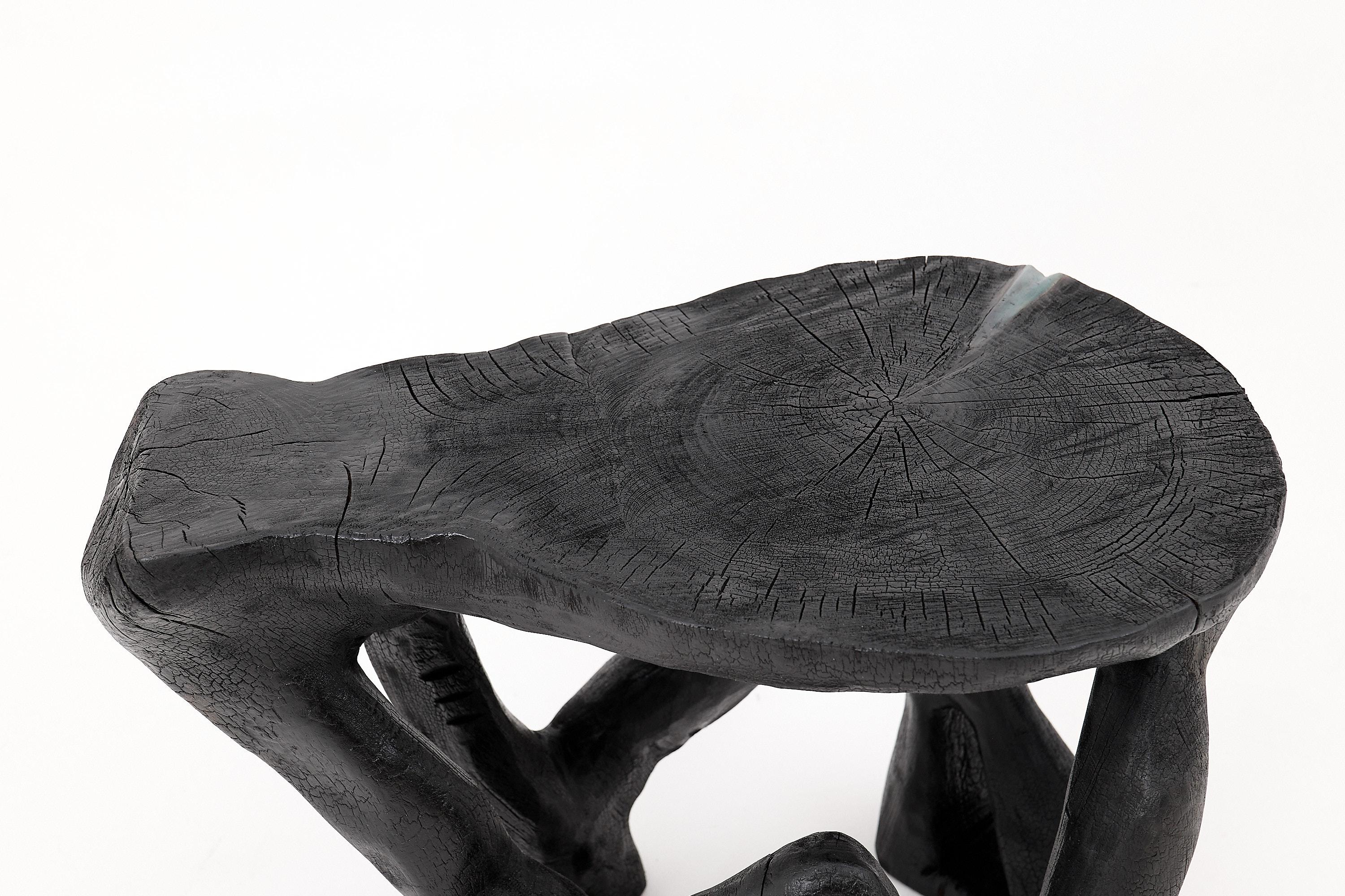 Mesa de centro escultórica rústica, madera negra quemada, tallada, única, muebles de madera Tallado en venta