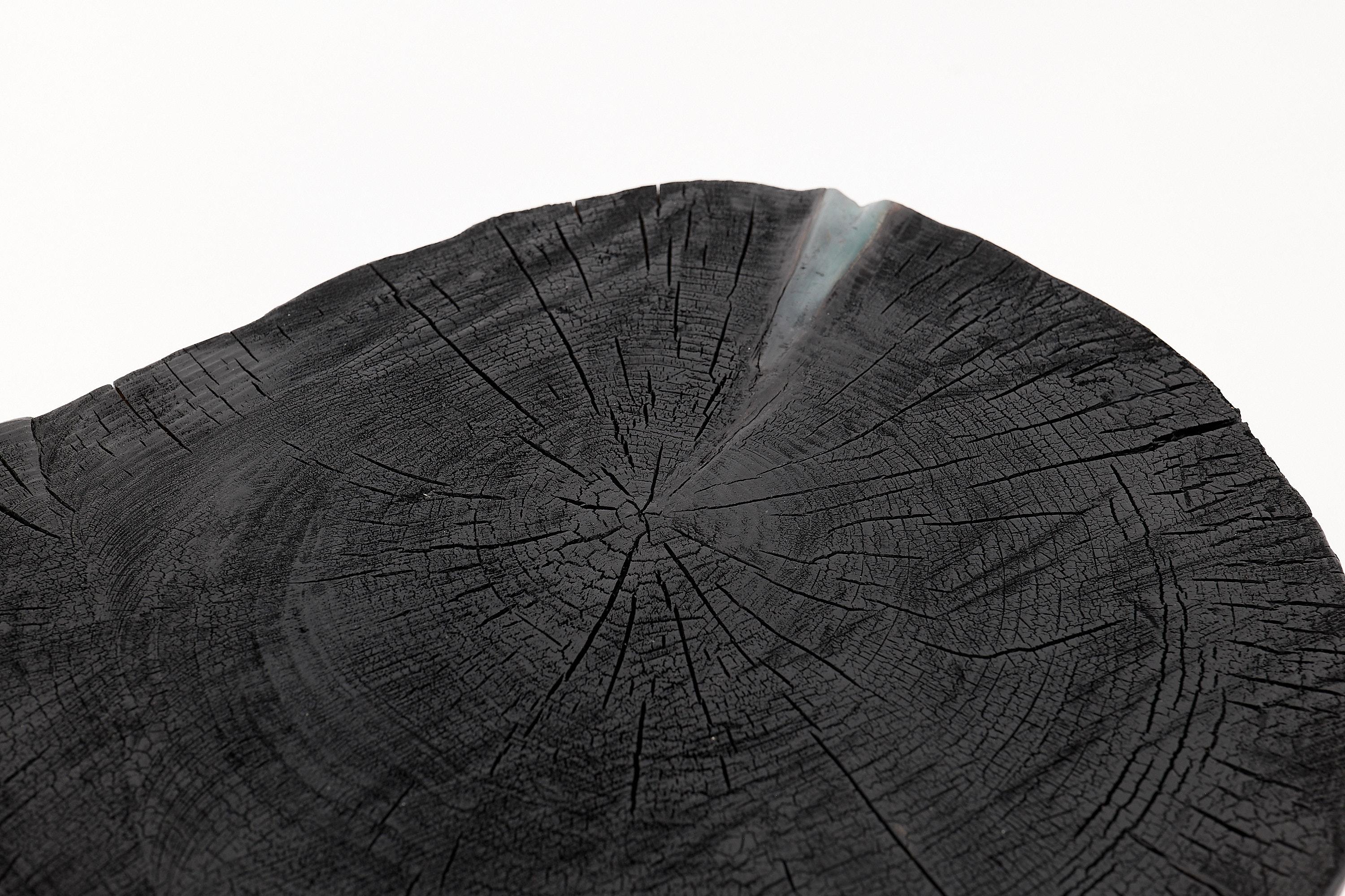 Mesa de centro escultórica rústica, madera negra quemada, tallada, única, muebles de madera en Nuevo estado para la venta en Stara Gradiška, HR