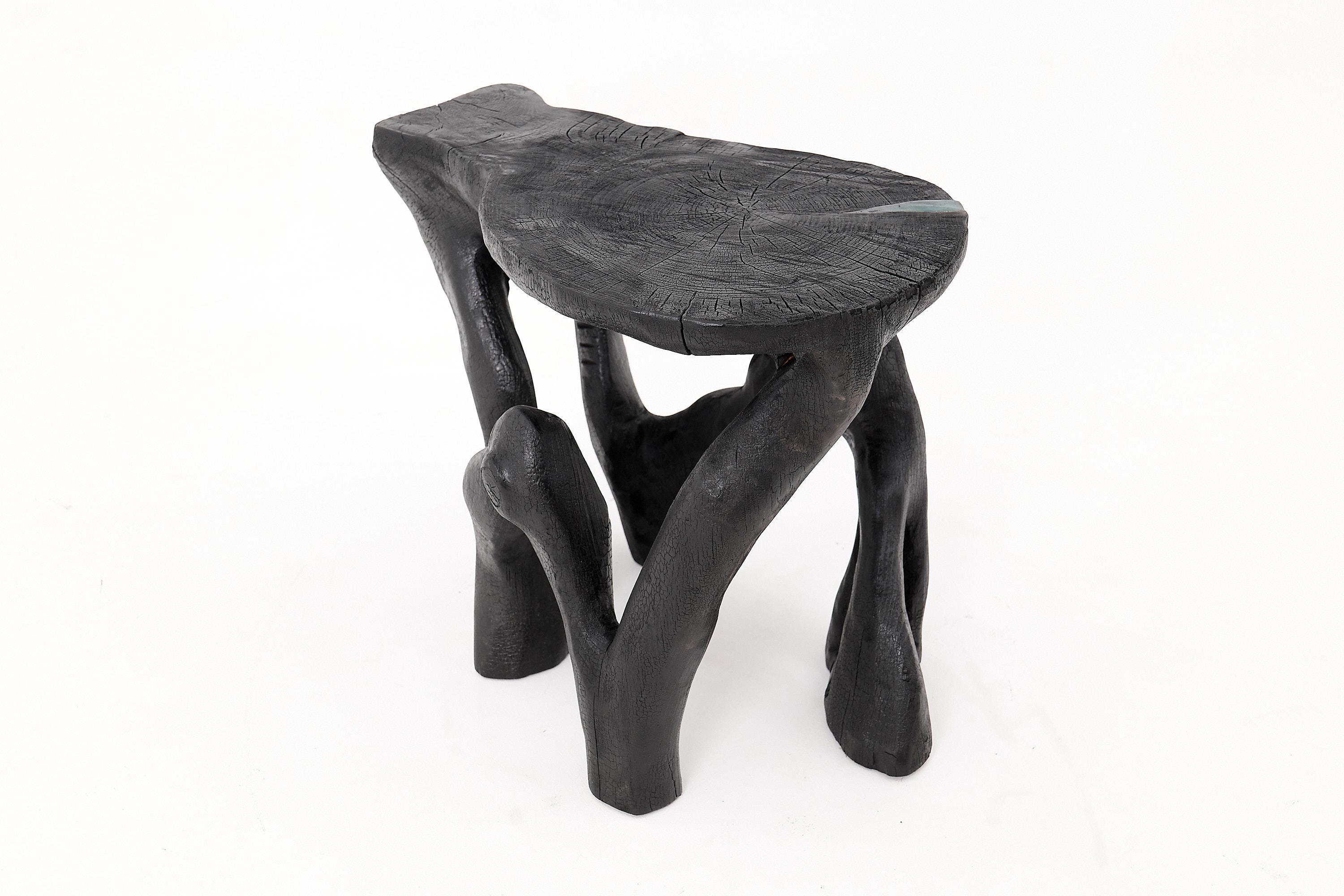 Mesa de centro escultórica rústica, madera negra quemada, tallada, única, muebles de madera Madera en venta