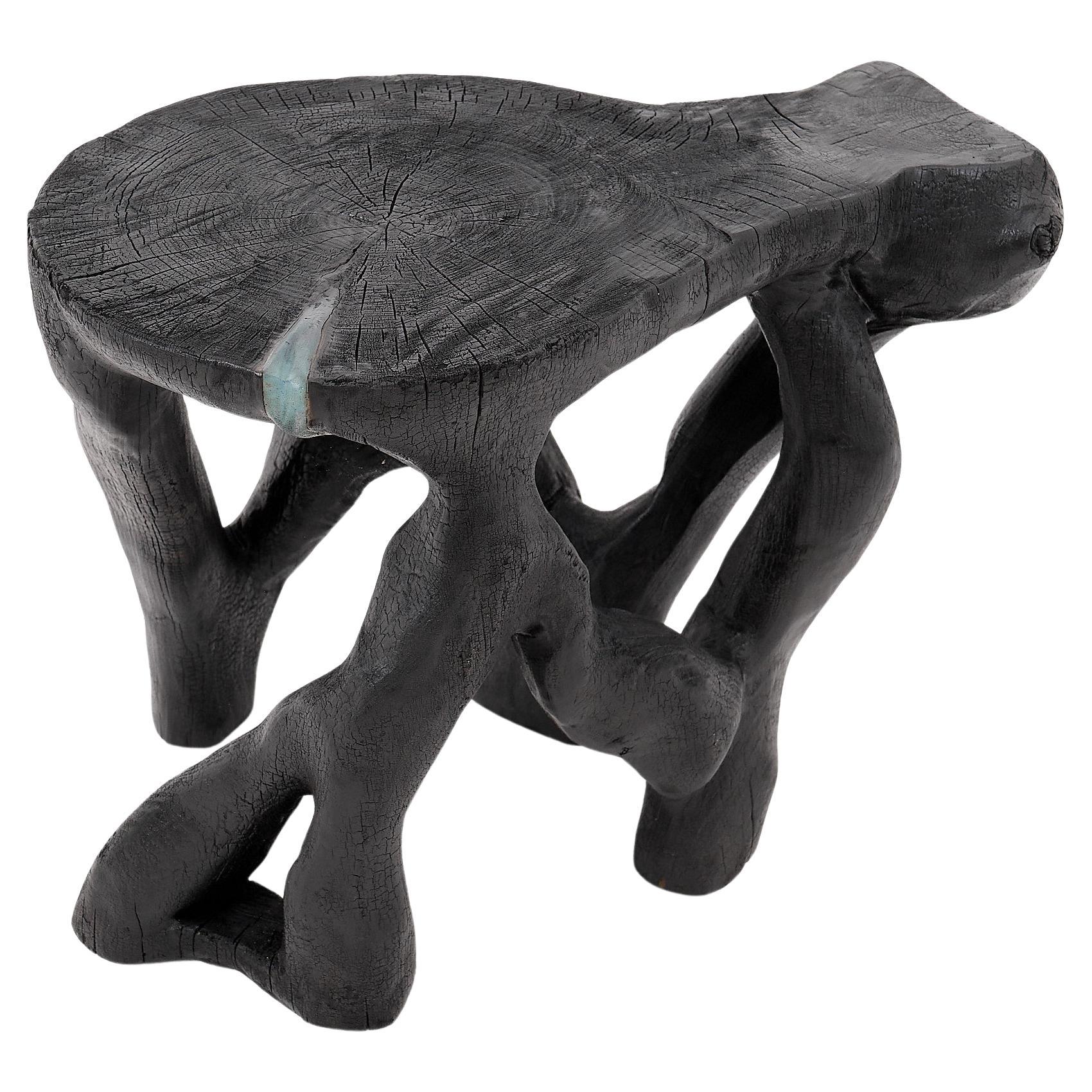 Mesa de centro escultórica rústica, madera negra quemada, tallada, única, muebles de madera