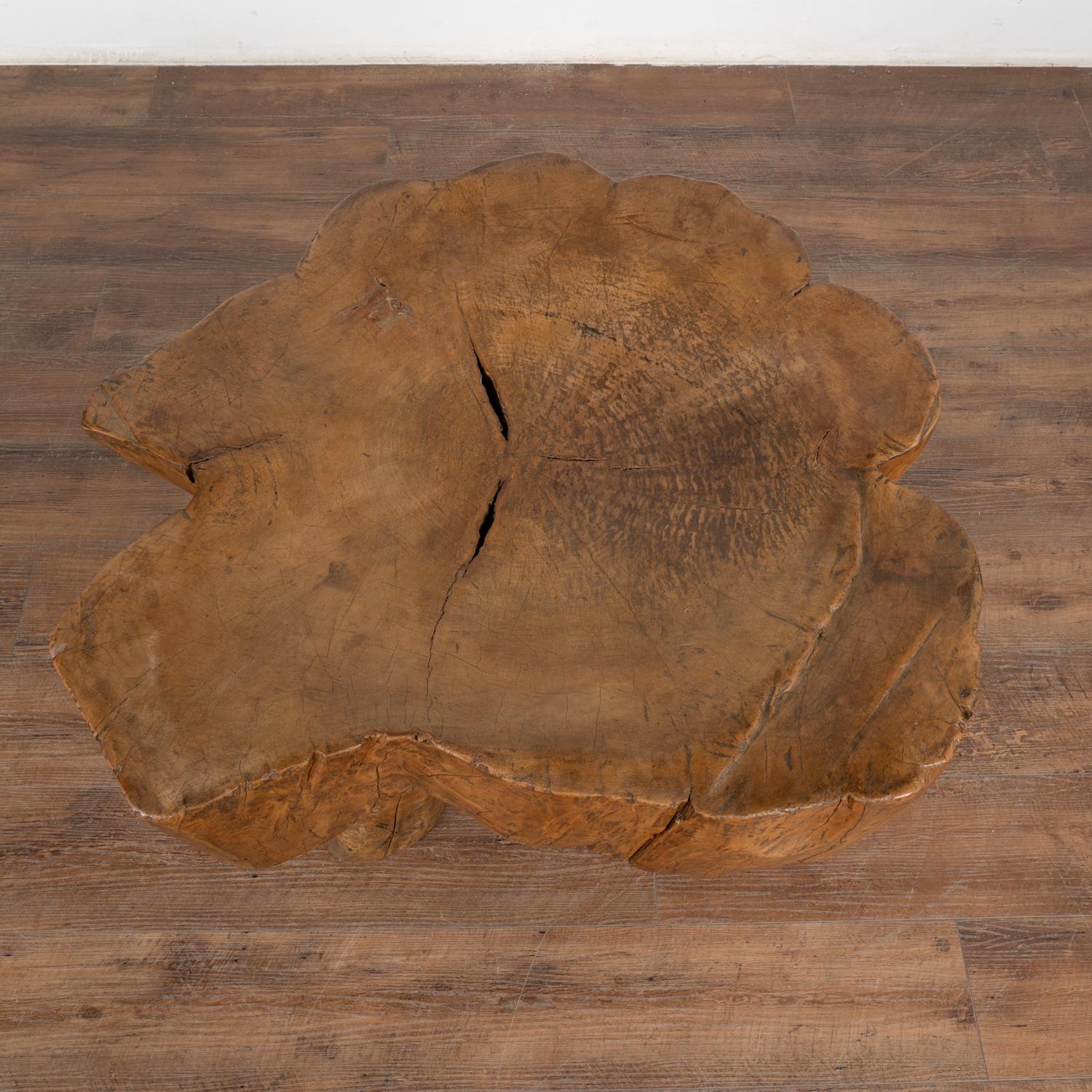19th Century Rustic Slab Wood Round Coffee Table, China circa 1890 For Sale