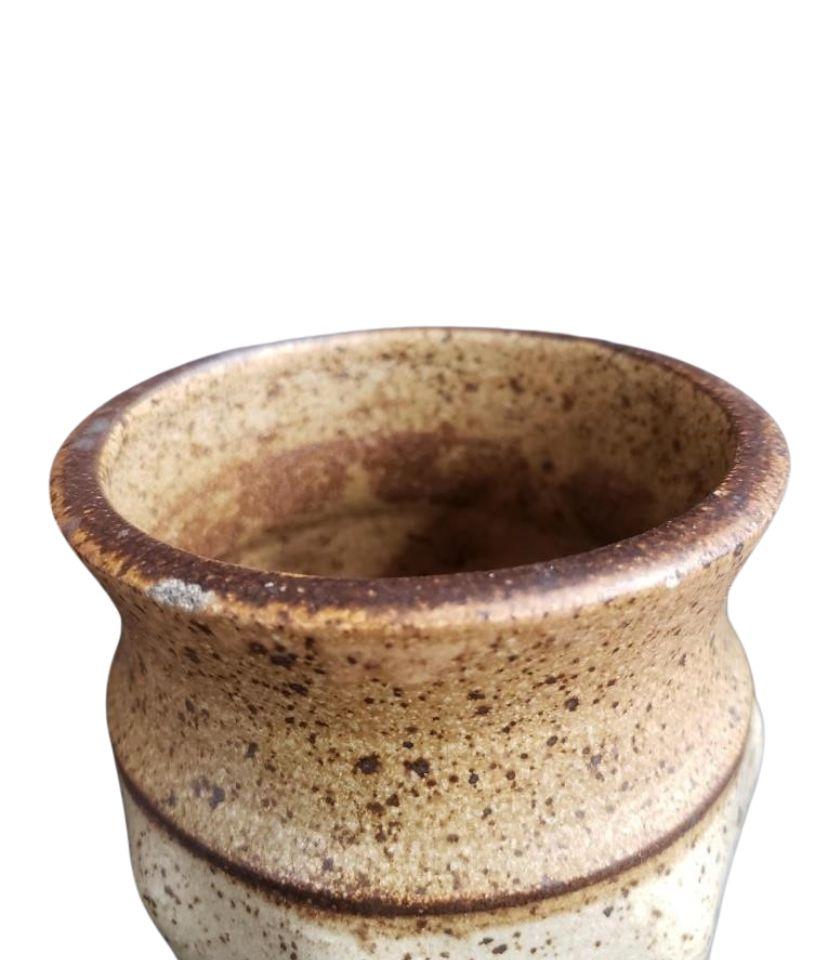 Organico moderno Vaso Rustic Studio Pottery in gres specchiato lavorato a mano con la firma dell'artista in vendita