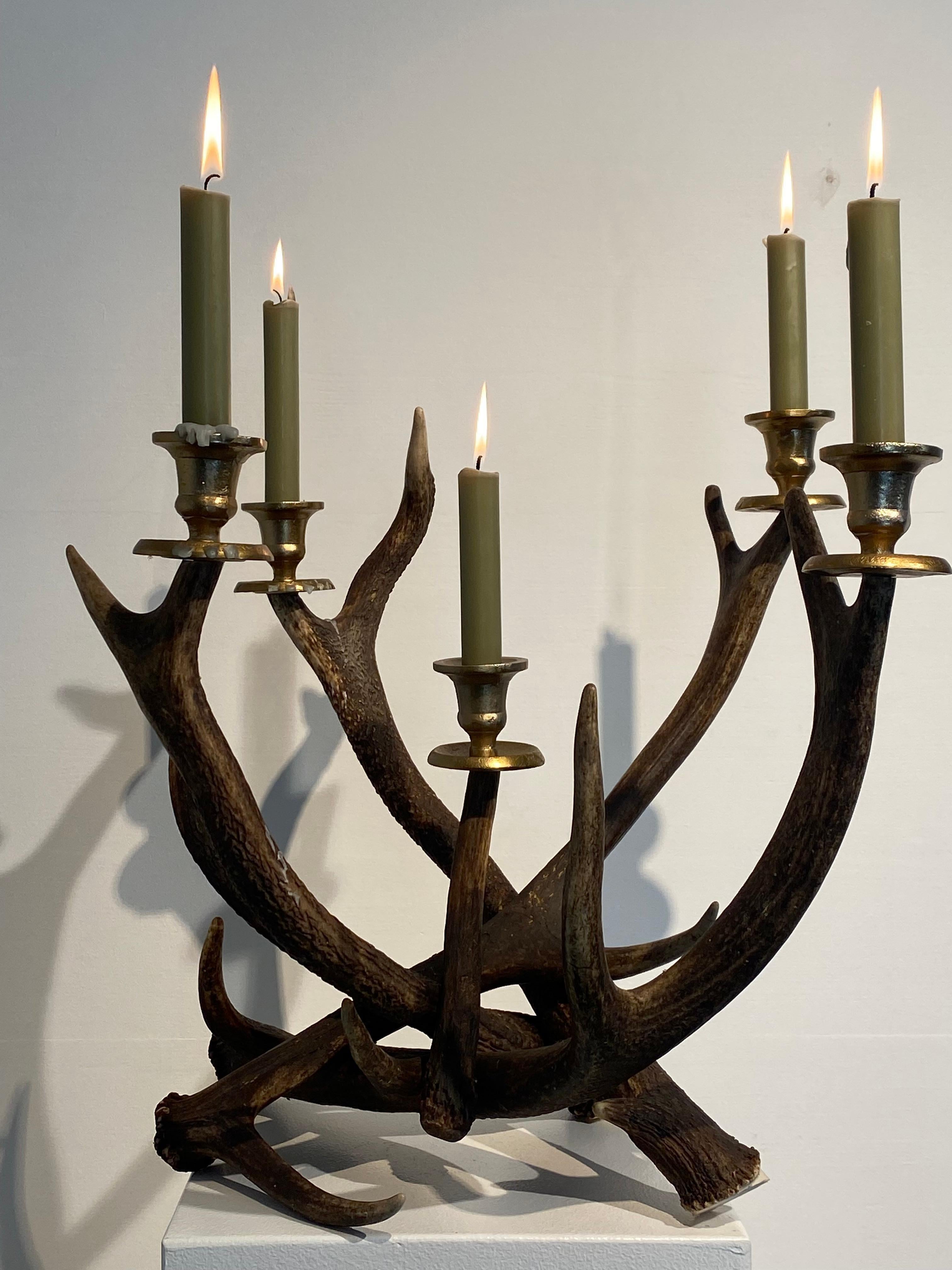 Eleganter und rustikaler Kerzenhalter aus Hirschhörnern,
elegantes Objekt mit 5 Kerzenhaltern, warmer Glanz und Patina der Hörner,
sehr dekorativer Artikel