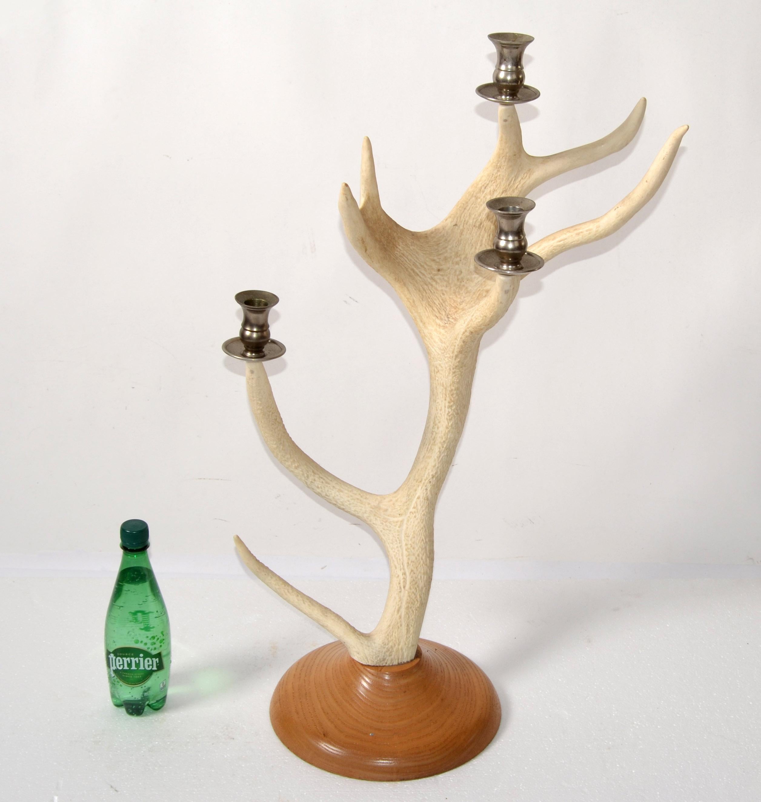 Steel Rustic Taxidermy White Tail Deer Buck Antlers Horns Candle Holder Oak Round Base For Sale