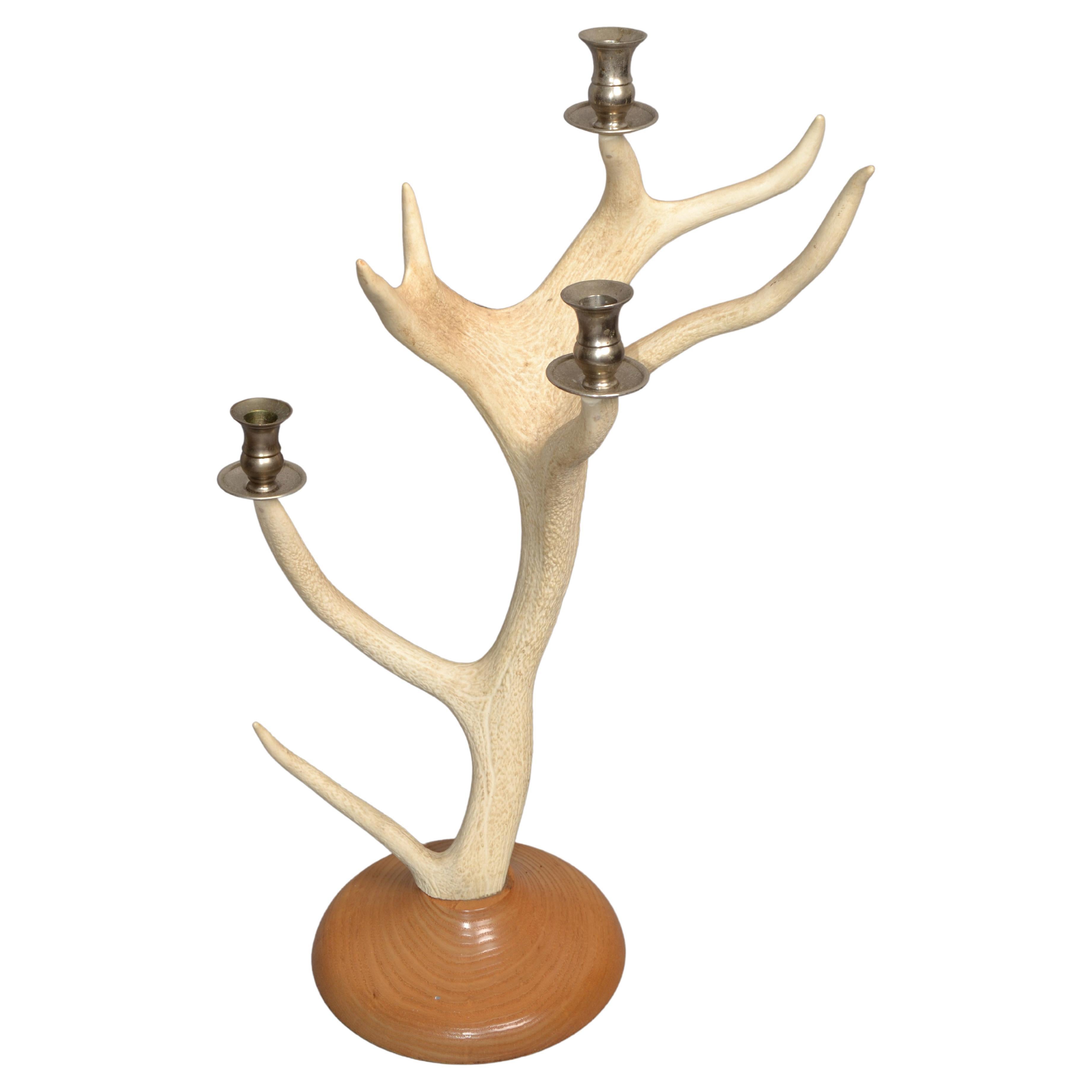 Rustic Taxidermy White Tail Deer Buck Antlers Horns Candle Holder Oak Round Base