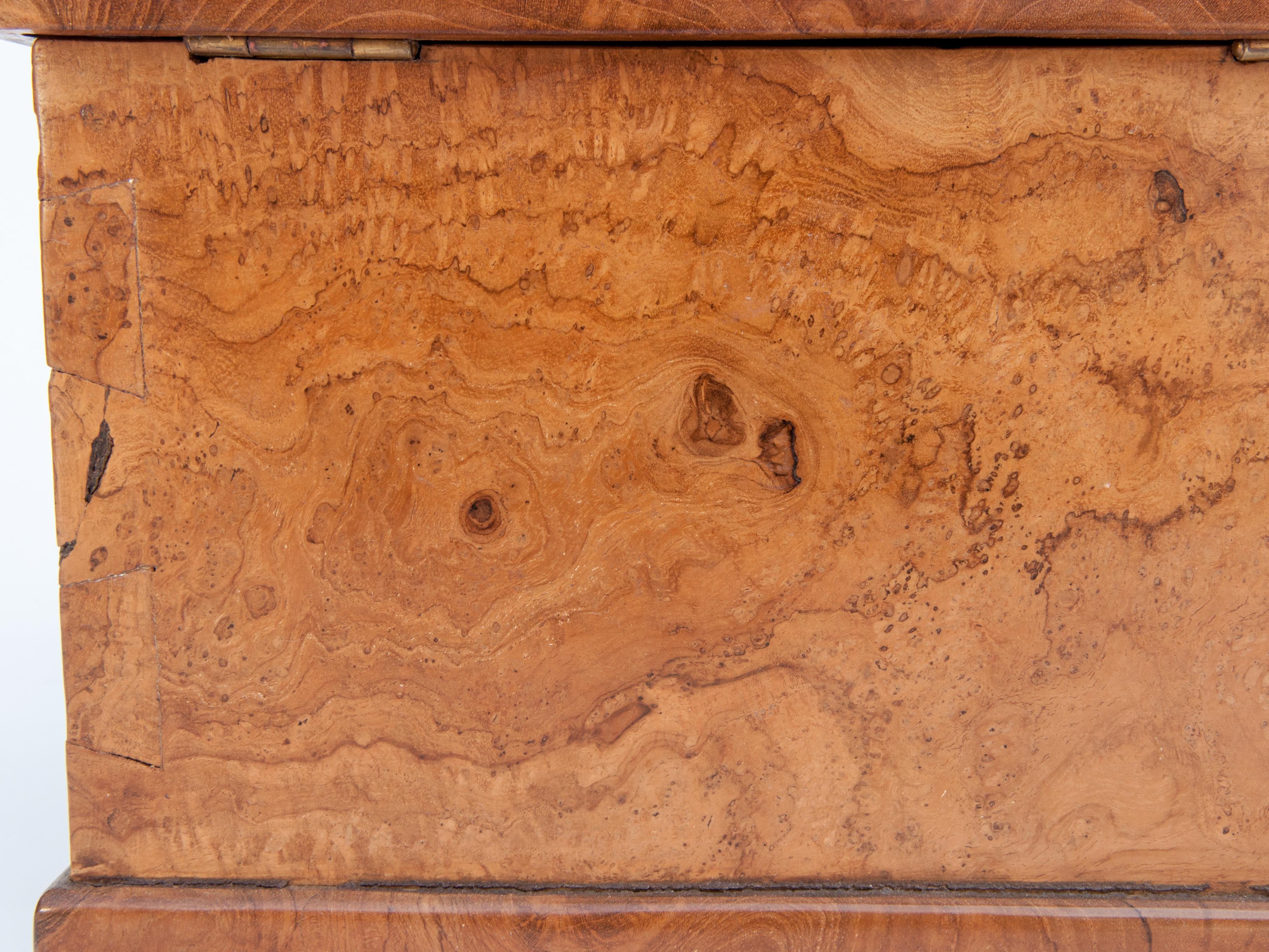 Rustic Teak Burlwood Box, Java, Late 20th Century 5