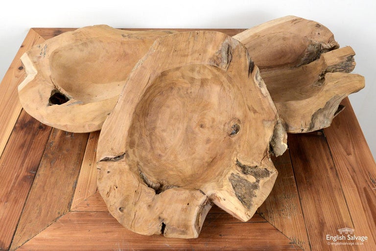 Rustic Teak Root Wooden Bowls, 20th Century In Good Condition For Sale In London, GB