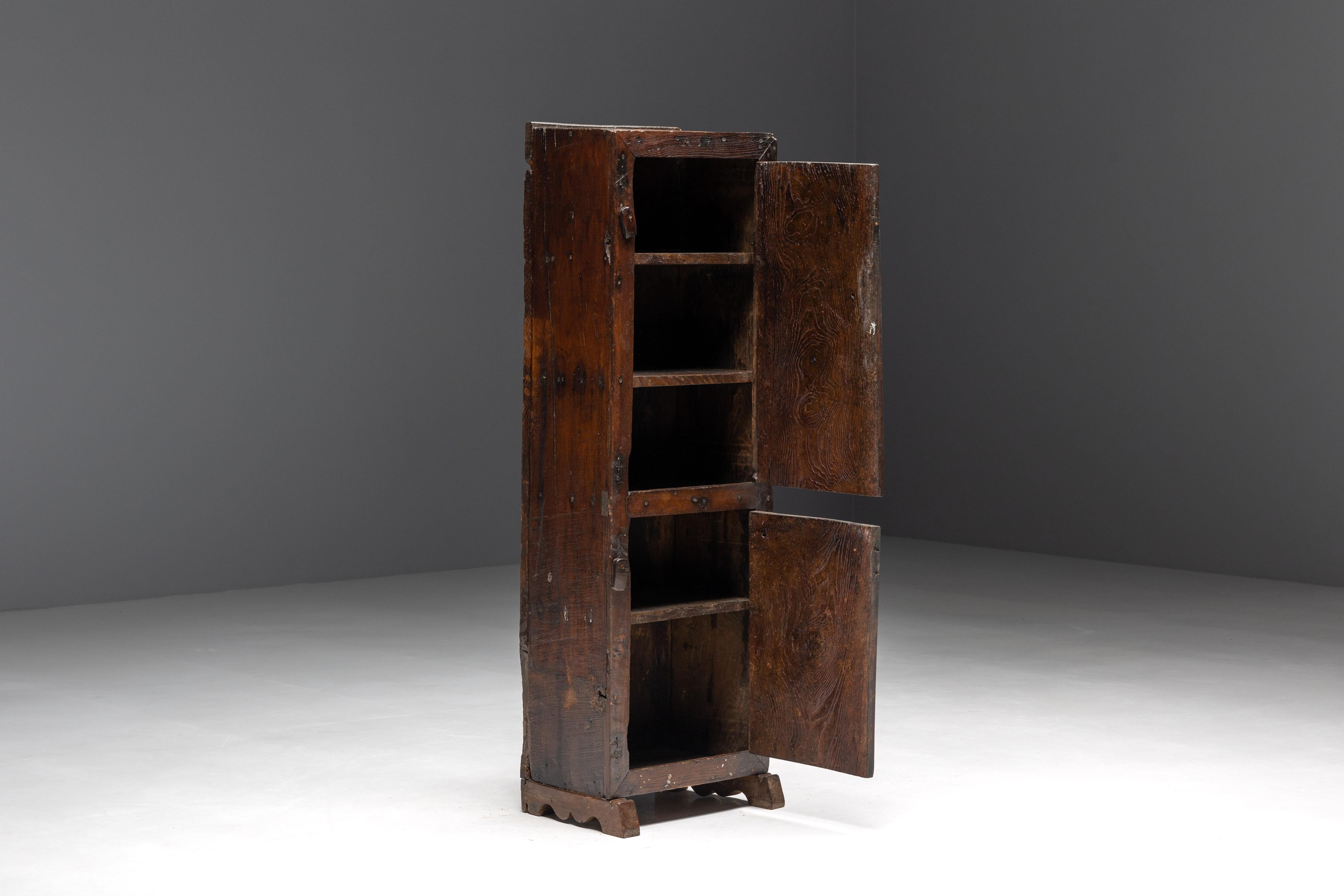 Mid-19th Century Rustic Travail Populaire Cabinet, France, 1850s For Sale