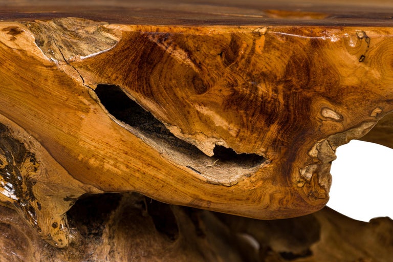 Rustic Tree Root Live Edge Lacquered Console Table For Sale at 1stDibs