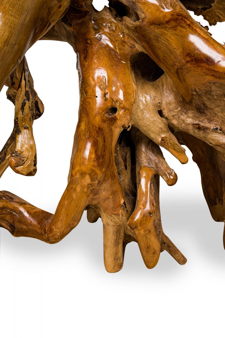 Rustic Tree Root Live Edge Lacquered Console Table For Sale at 1stDibs