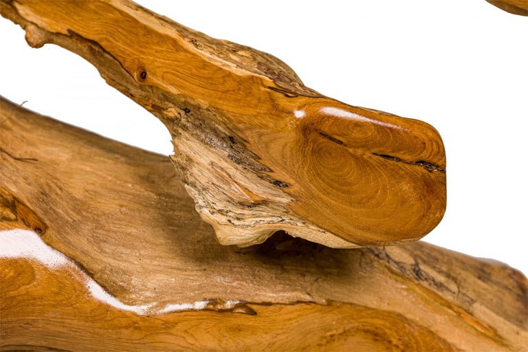 Rustic Tree Root Live Edge Lacquered Console Table For Sale at 1stDibs