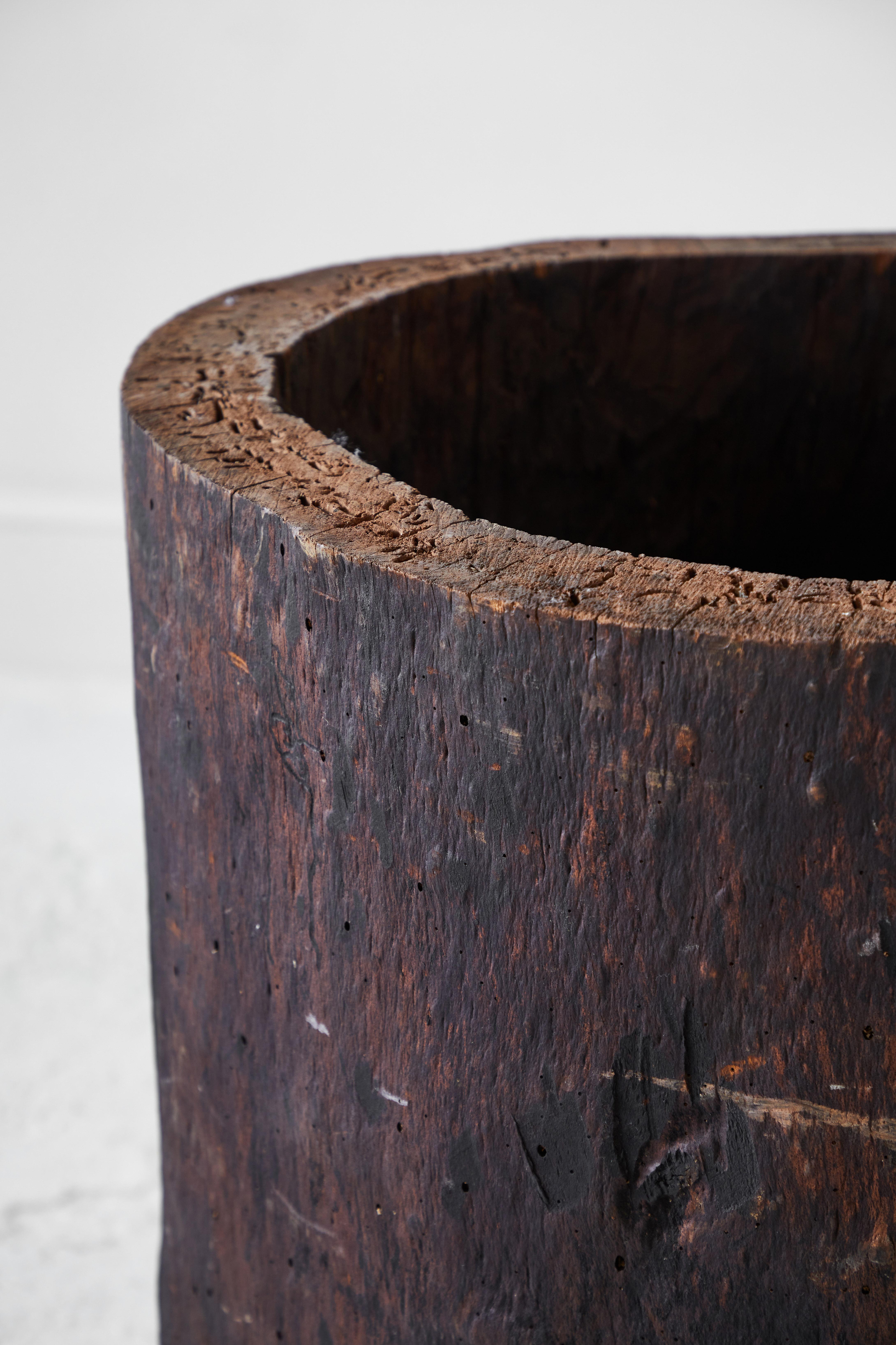 Rustic and sculptural tree trunk barrel, each barrel is unique and one of a kind.
