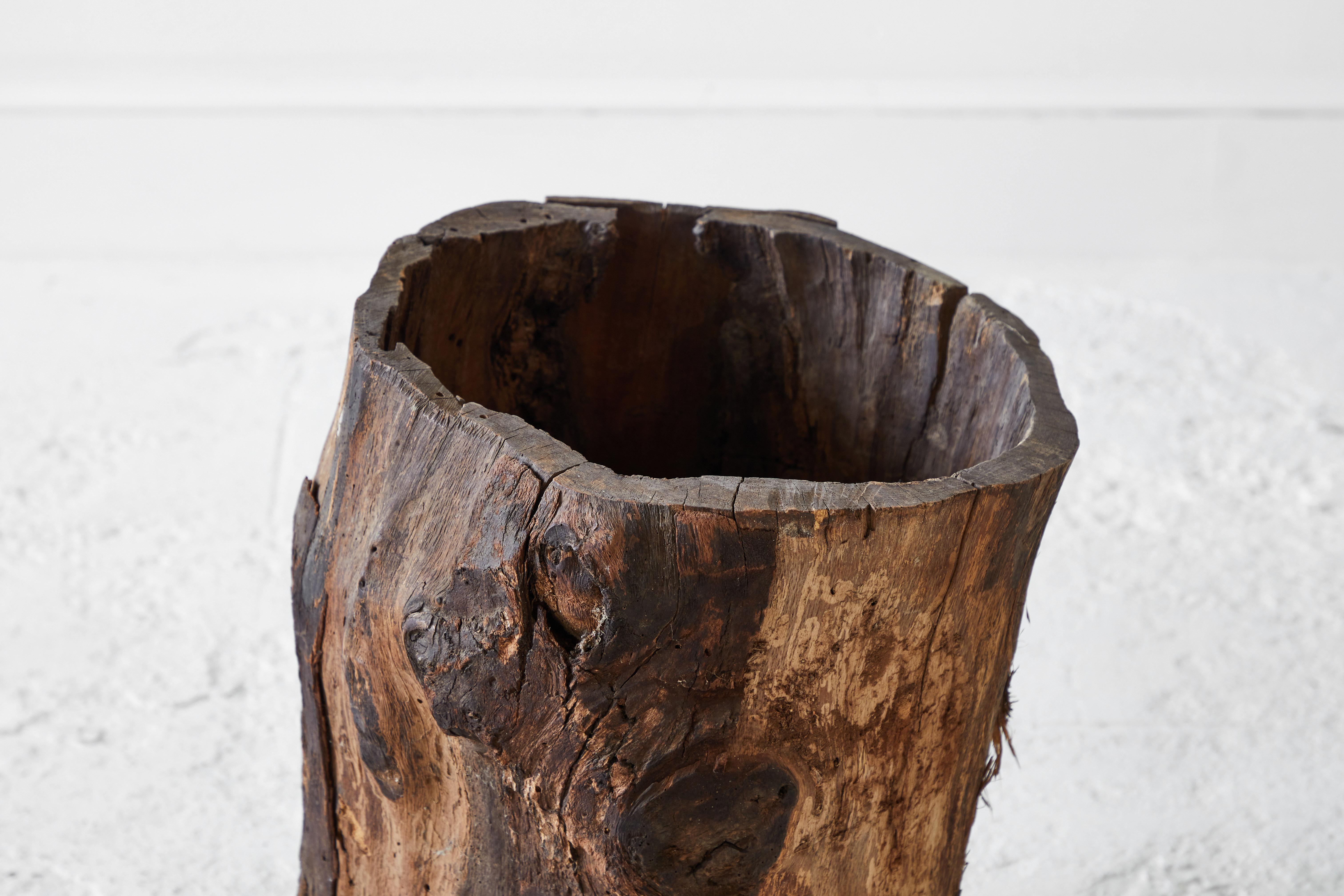 Rustic Tree Trunk Barrel 1
