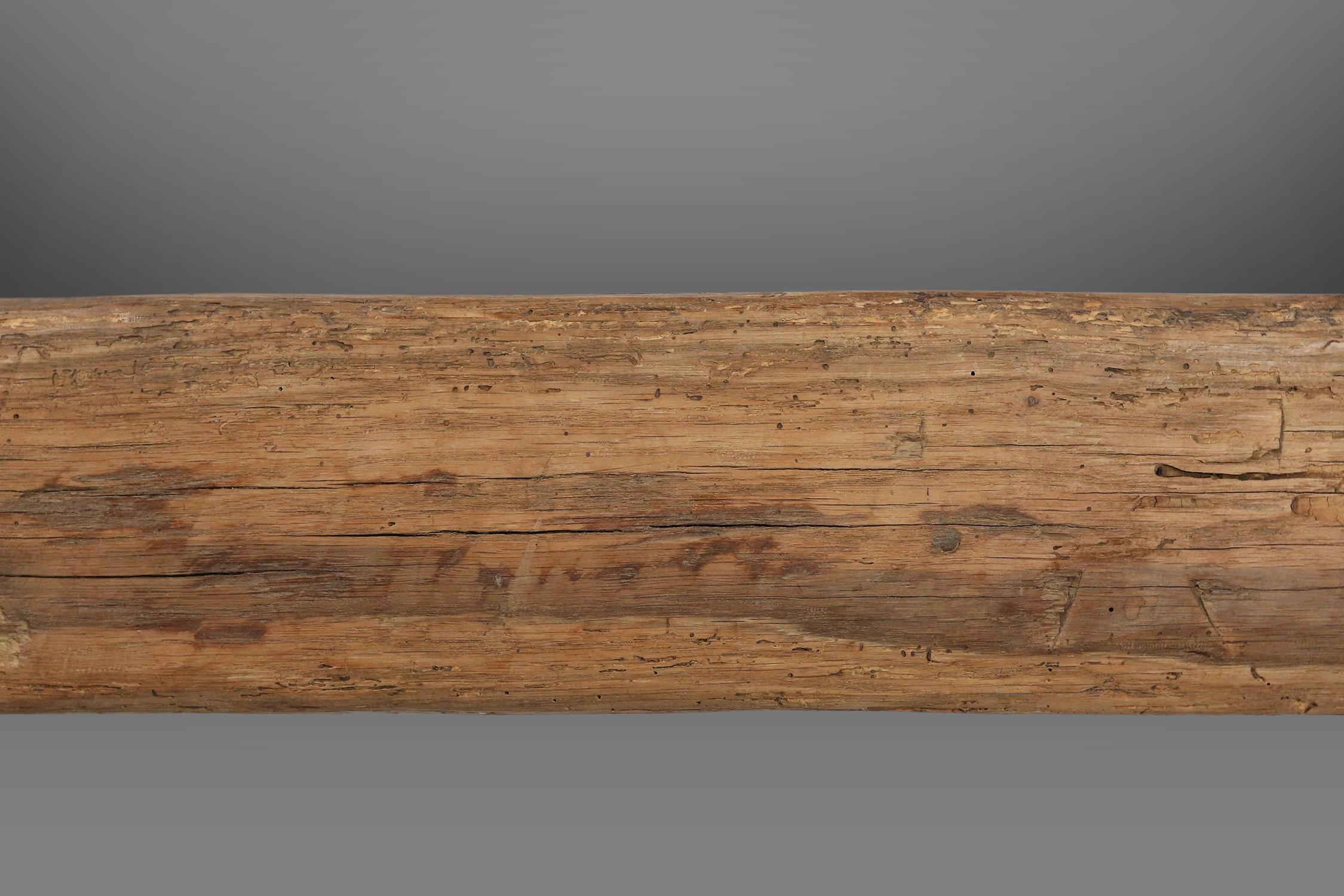 Rustic Tree Trunk Bench, France, 1850s For Sale 2