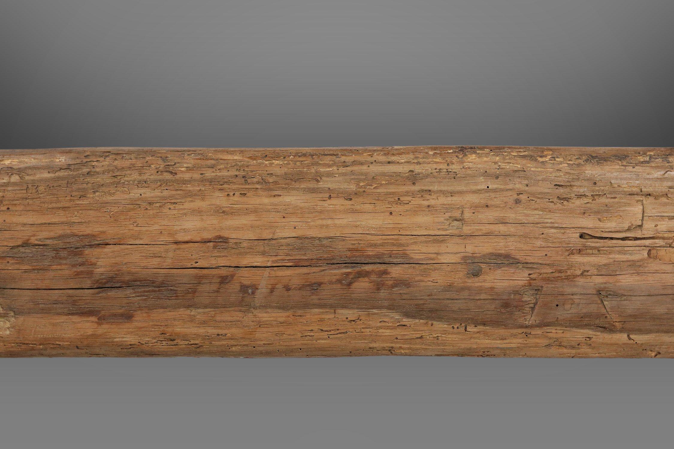 Rustic Tree Trunk Bench, France 1850s In Good Condition For Sale In Meulebeke, BE
