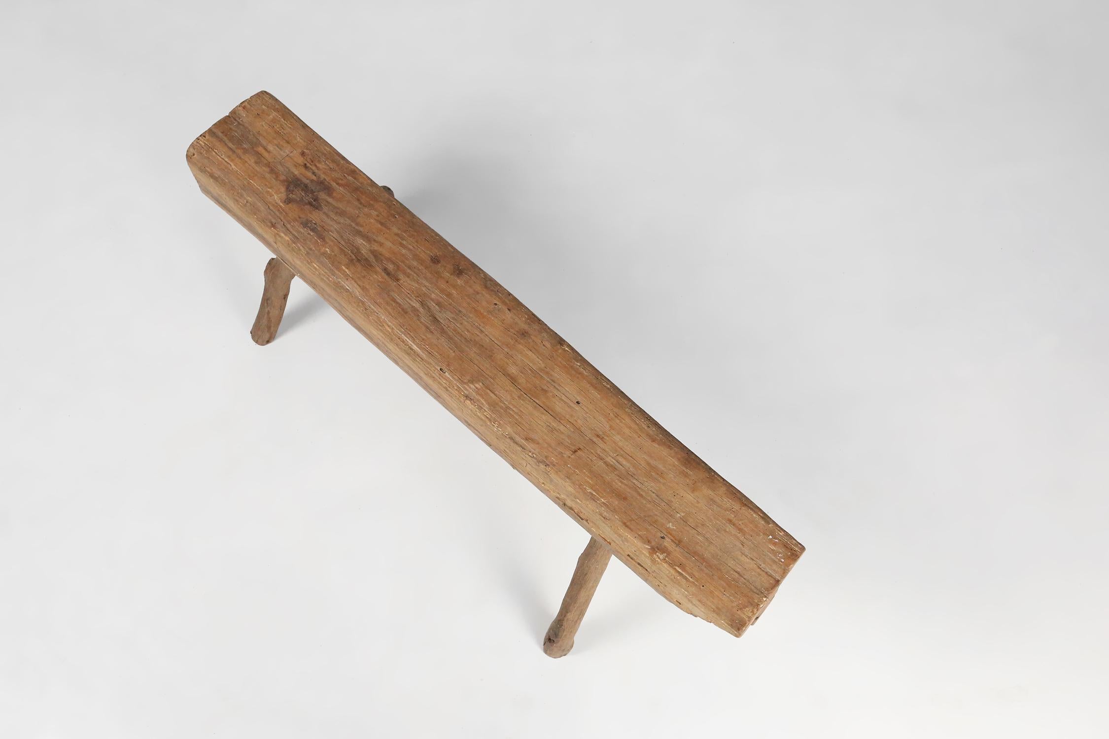 Mid-19th Century Rustic Tree Trunk Bench, France, 1850s For Sale