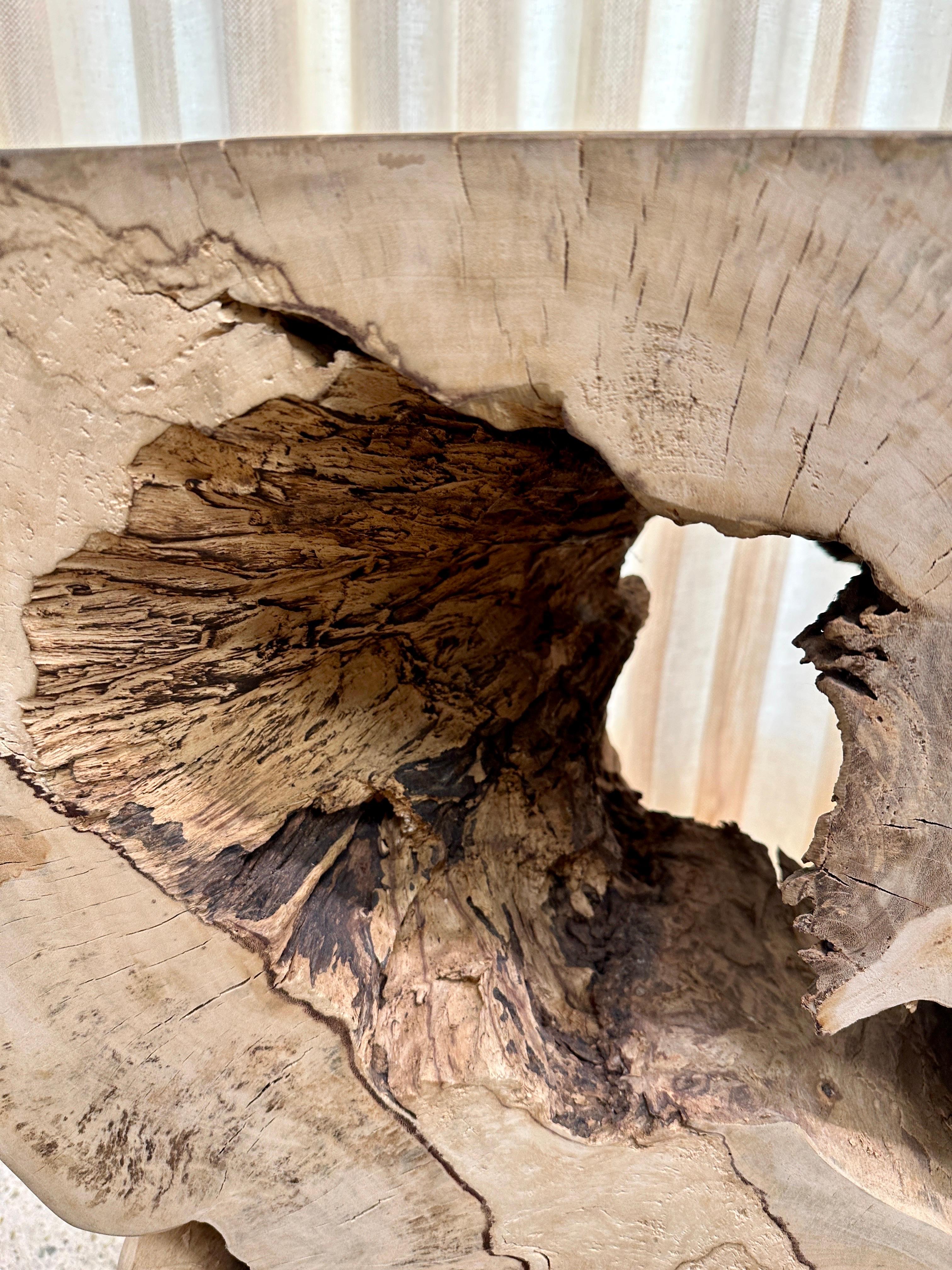 Bois Table console rustique en tronc d'arbre organique en vente