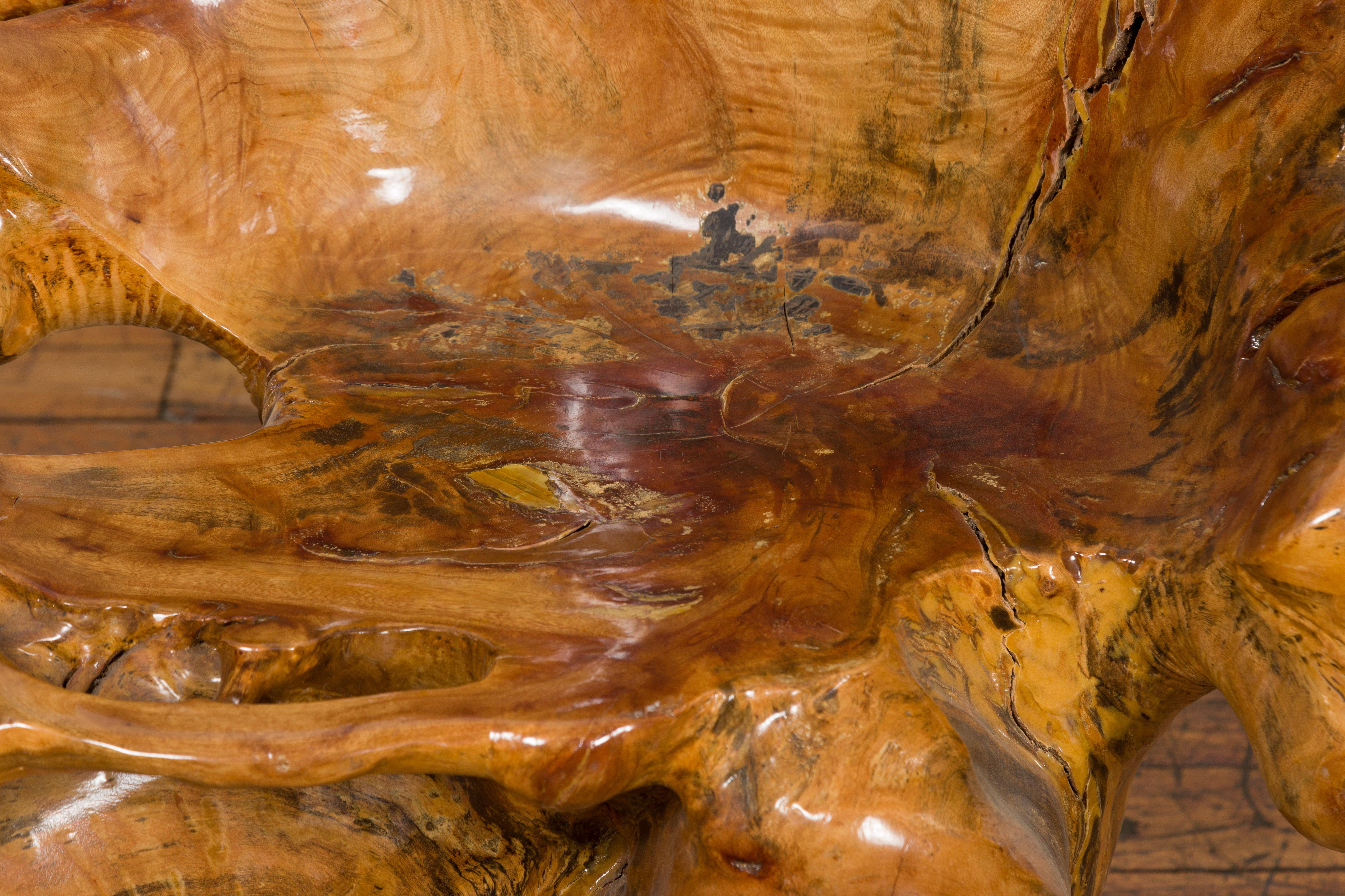 Sedia rustica in legno di canfora con forma scultorea e finitura lucida in vendita 1