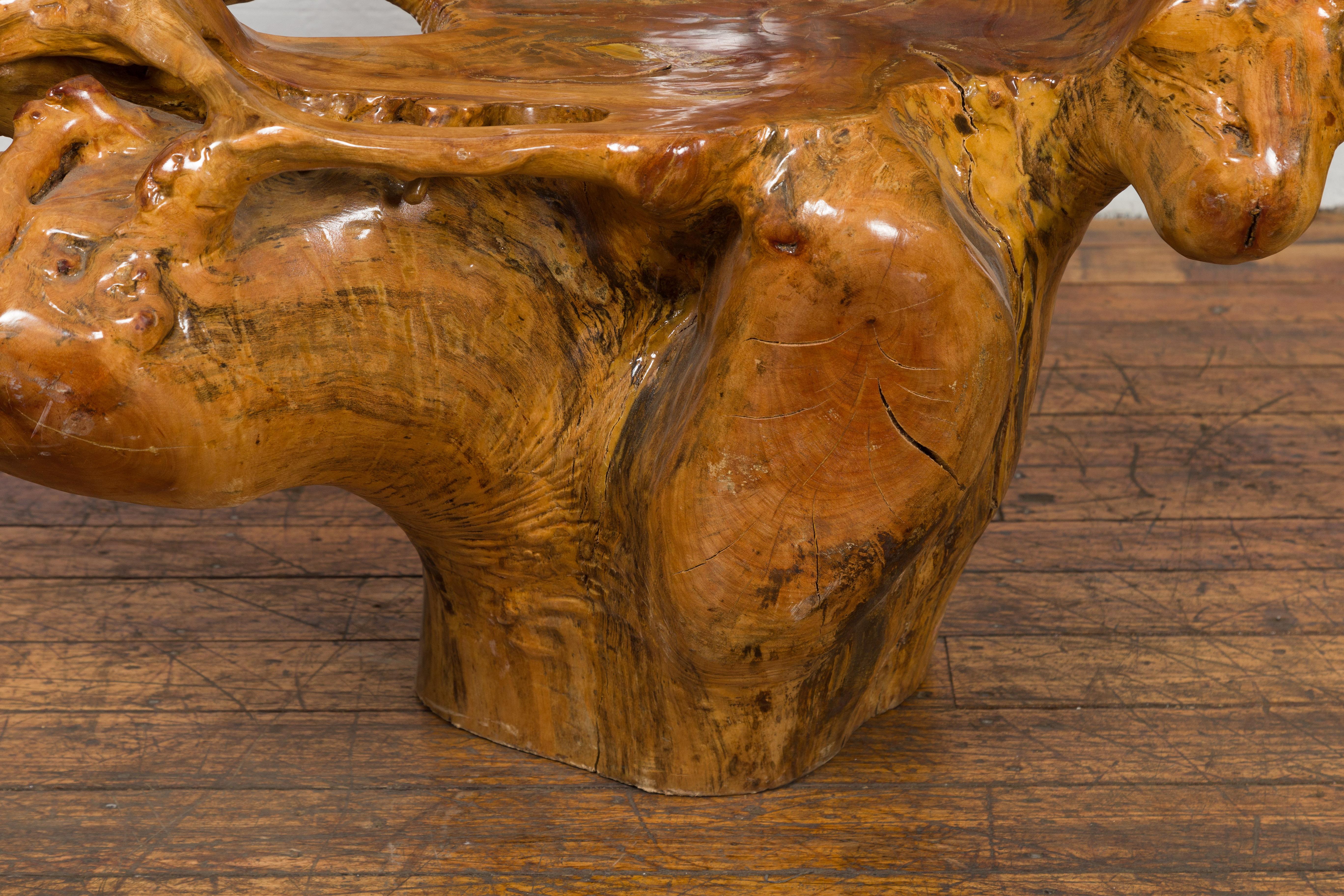 Sedia rustica in legno di canfora con forma scultorea e finitura lucida in vendita 3