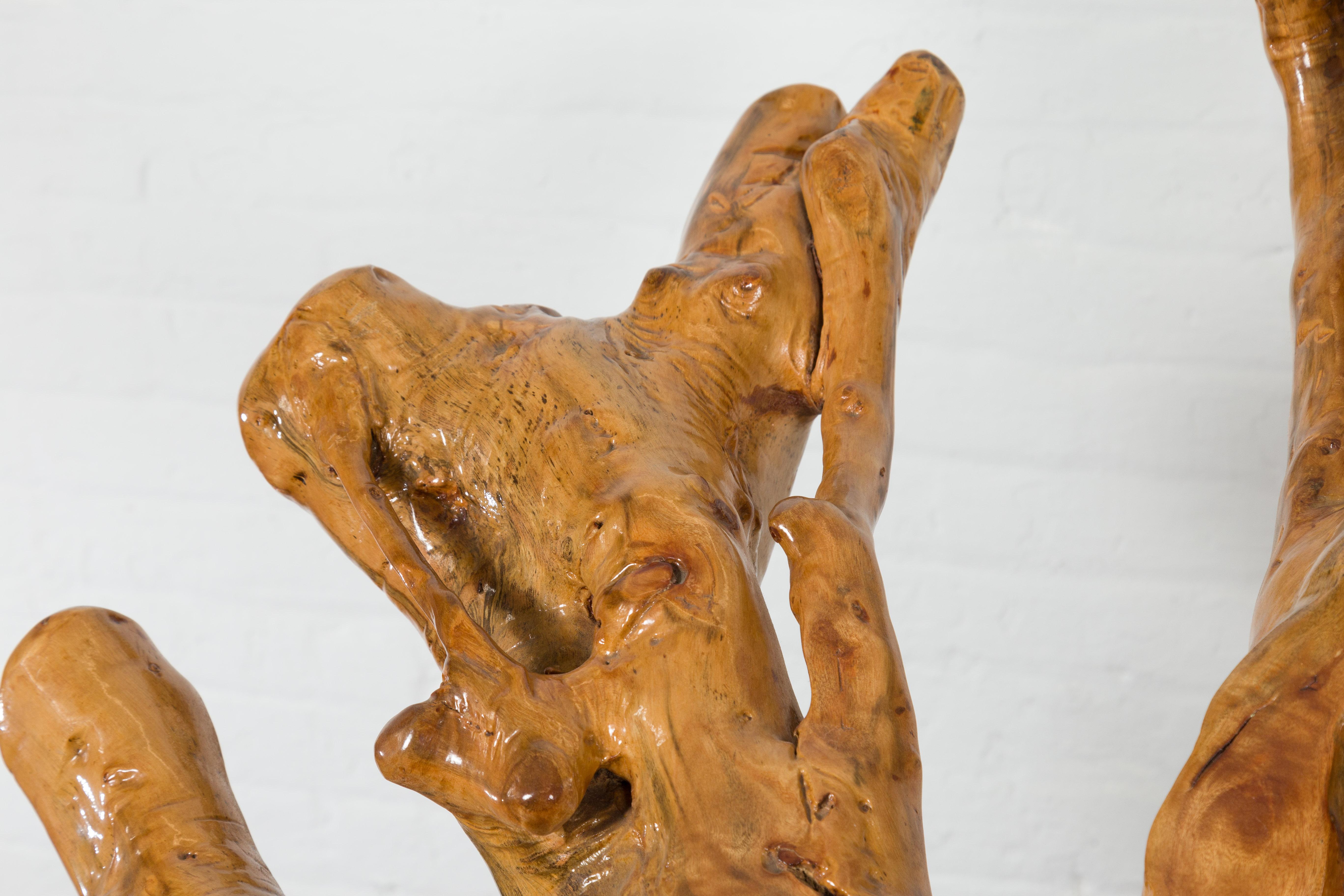 Sedia rustica in legno di canfora con forma scultorea e finitura lucida in vendita 4