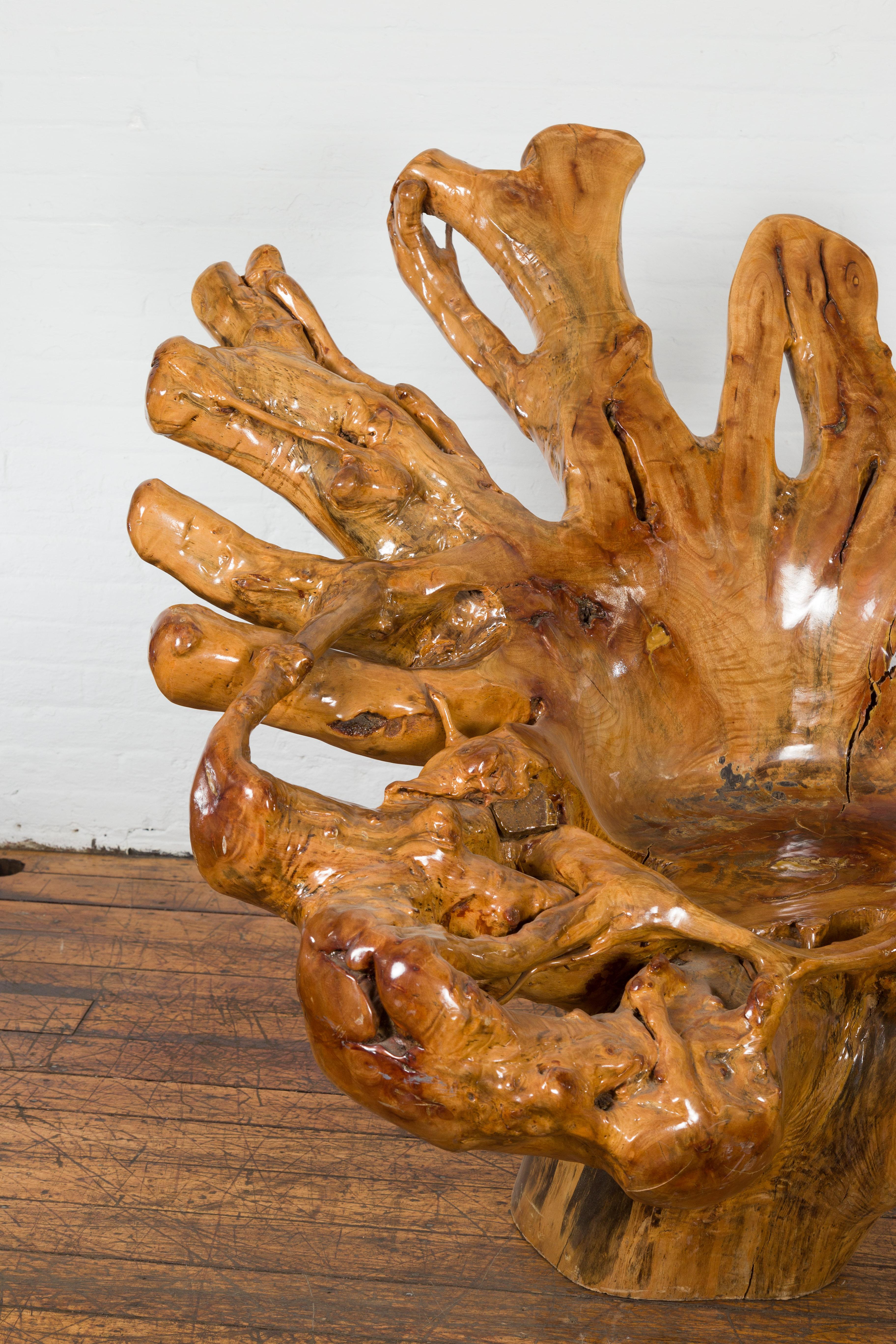 Sedia rustica in legno di canfora con forma scultorea e finitura lucida in vendita 6