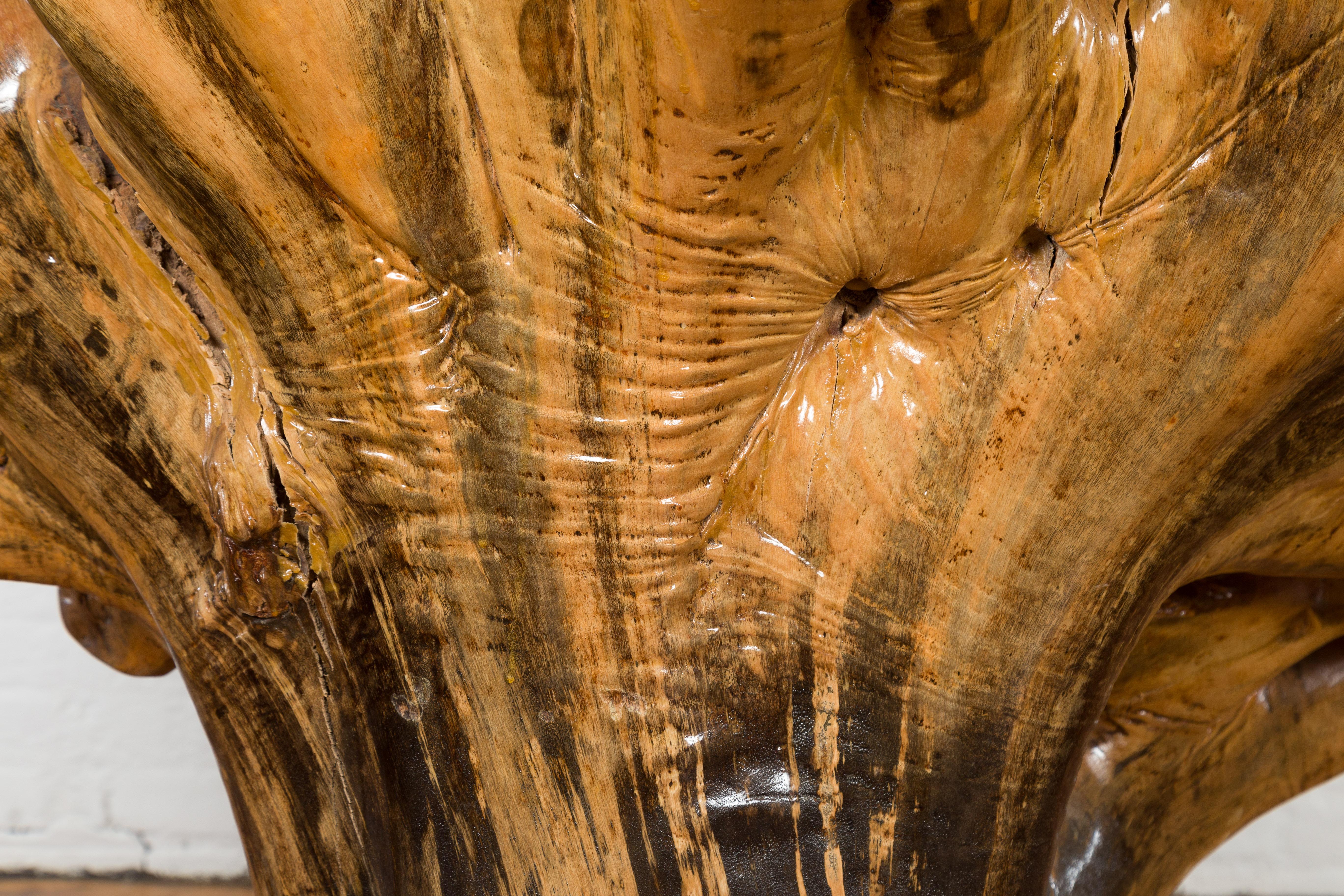 Sedia rustica in legno di canfora con forma scultorea e finitura lucida in vendita 11