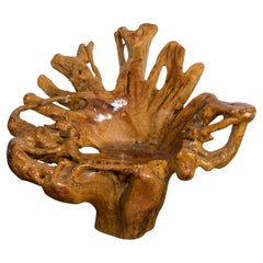 Fauteuil rustique vintage chinois en bois de camphrier et racines de sapin avec vernis clair