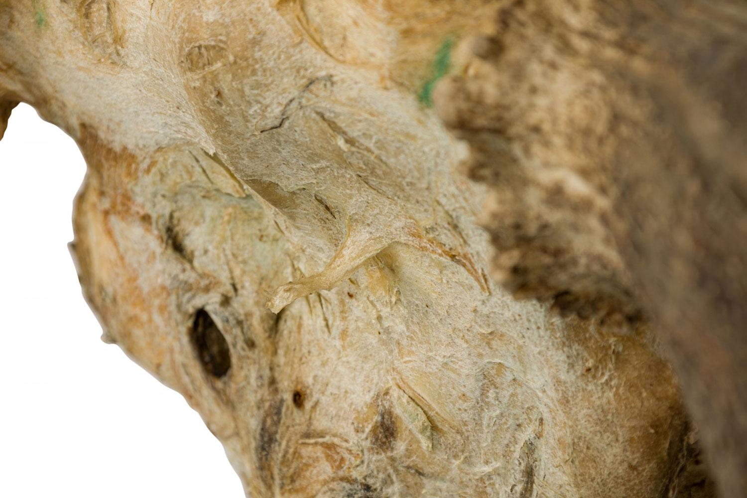 Rustikaler wandmontierbarer Elchschädel mit Geweih im Angebot 4