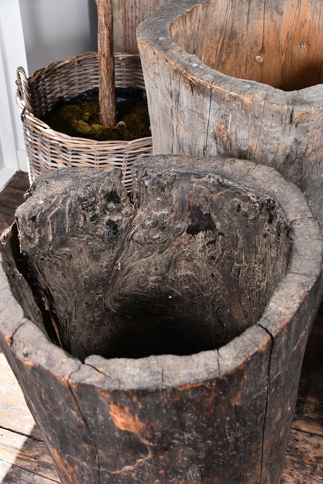 Belgian Rustic Wooden Planters For Sale