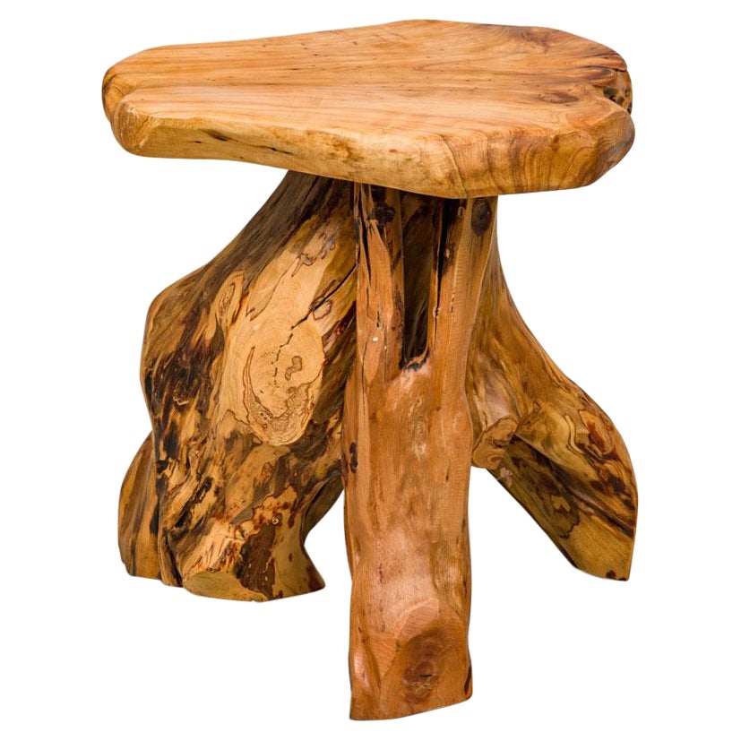 Rustic Wooden Tree Root Side Table with Organic Curved Top For Sale