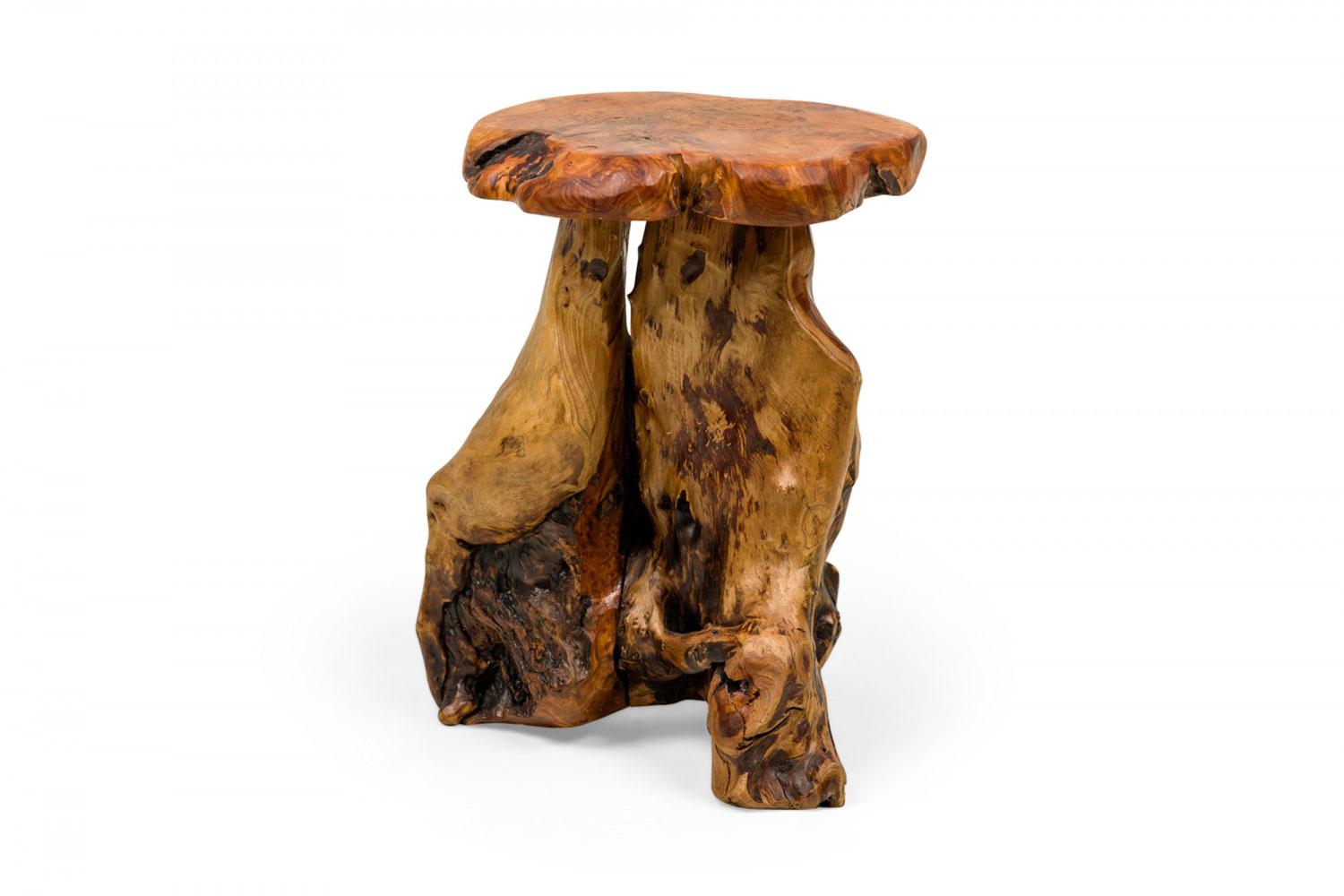 Contemporary Rustic organic tree stump side table with a scalloped-shape top and burled stump base.