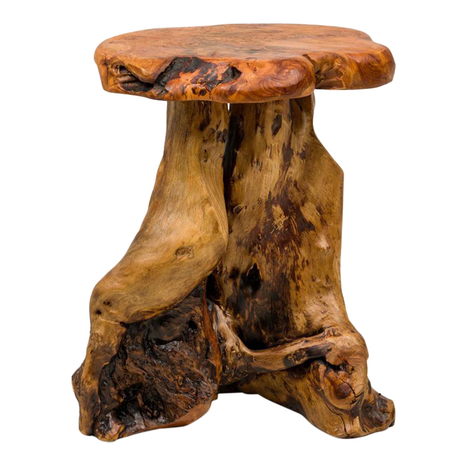 Rustic Wooden Tree Stump Burled Side Table with Organic Scalloped-Shaped Top