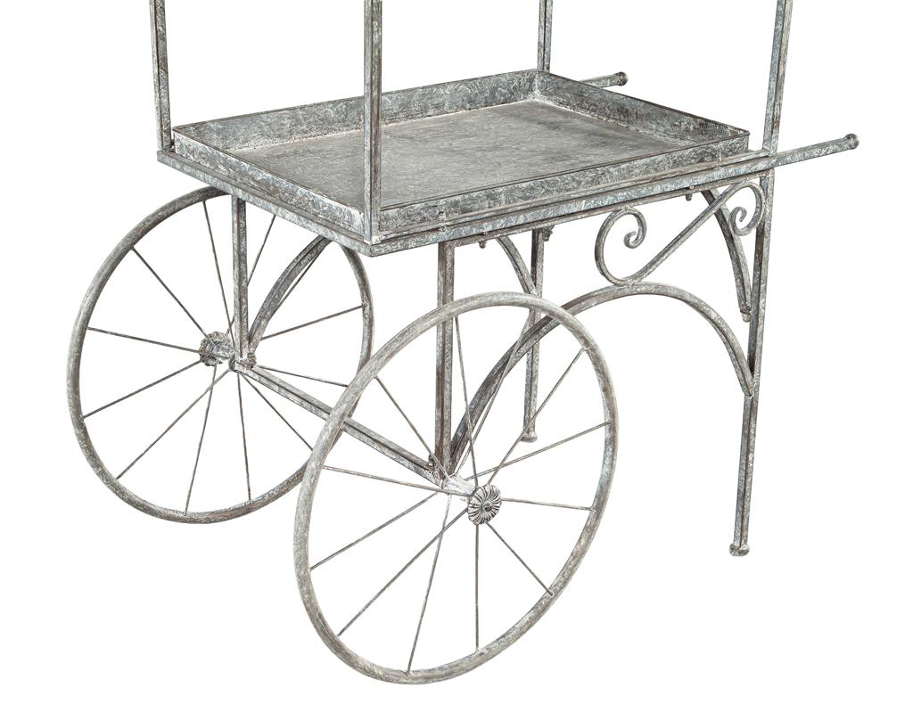 Rustikaler schmiedeeiserner Garten-Trolleywagen im Angebot 1