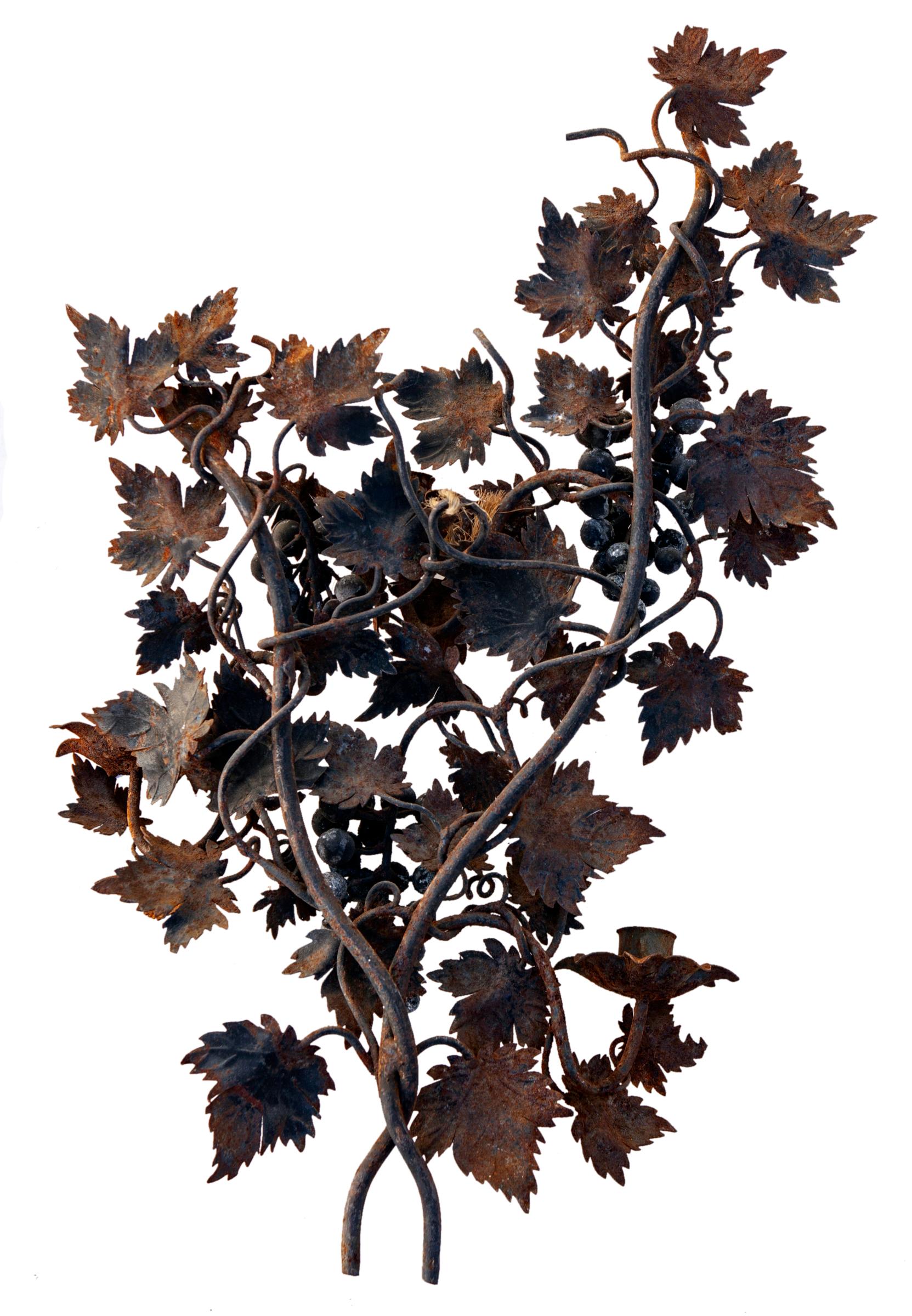 Italian Rusty Iron Candle Wall Sconce Grape Vine Motif For Sale