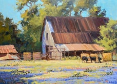 Used Hill Country Barn