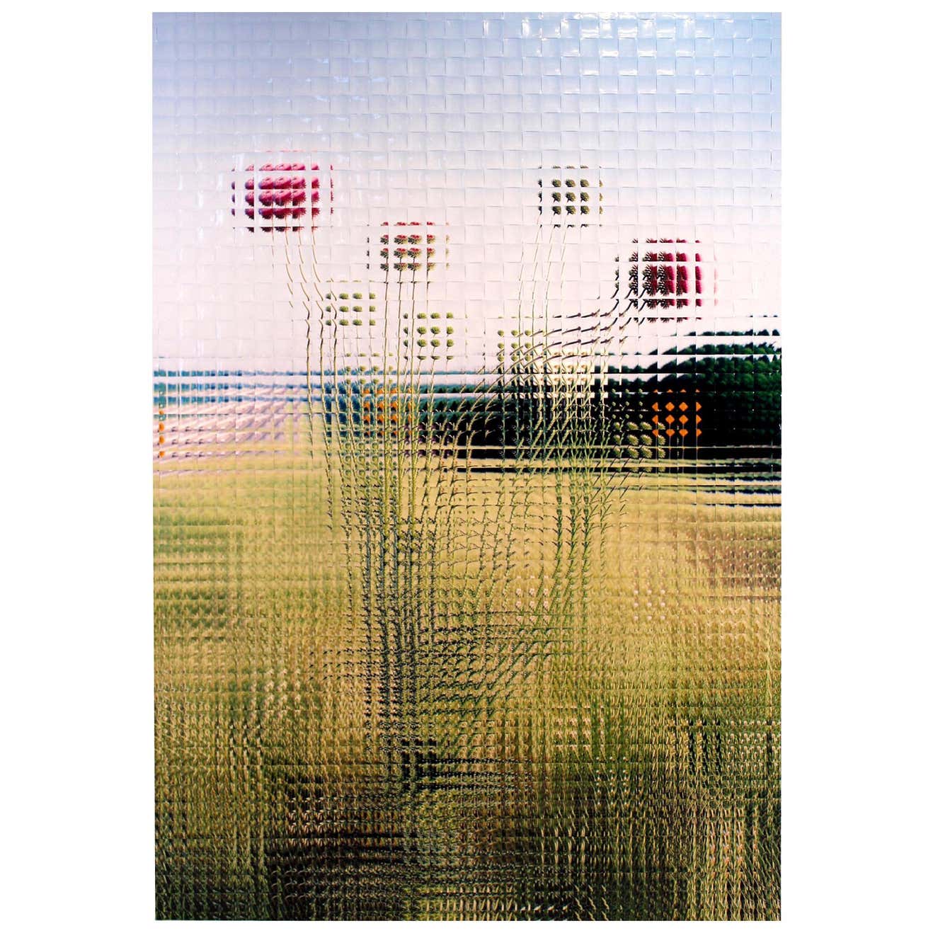 Rusty Scruby Photographic Reconstruction Titled Jim Miller Thistle ...