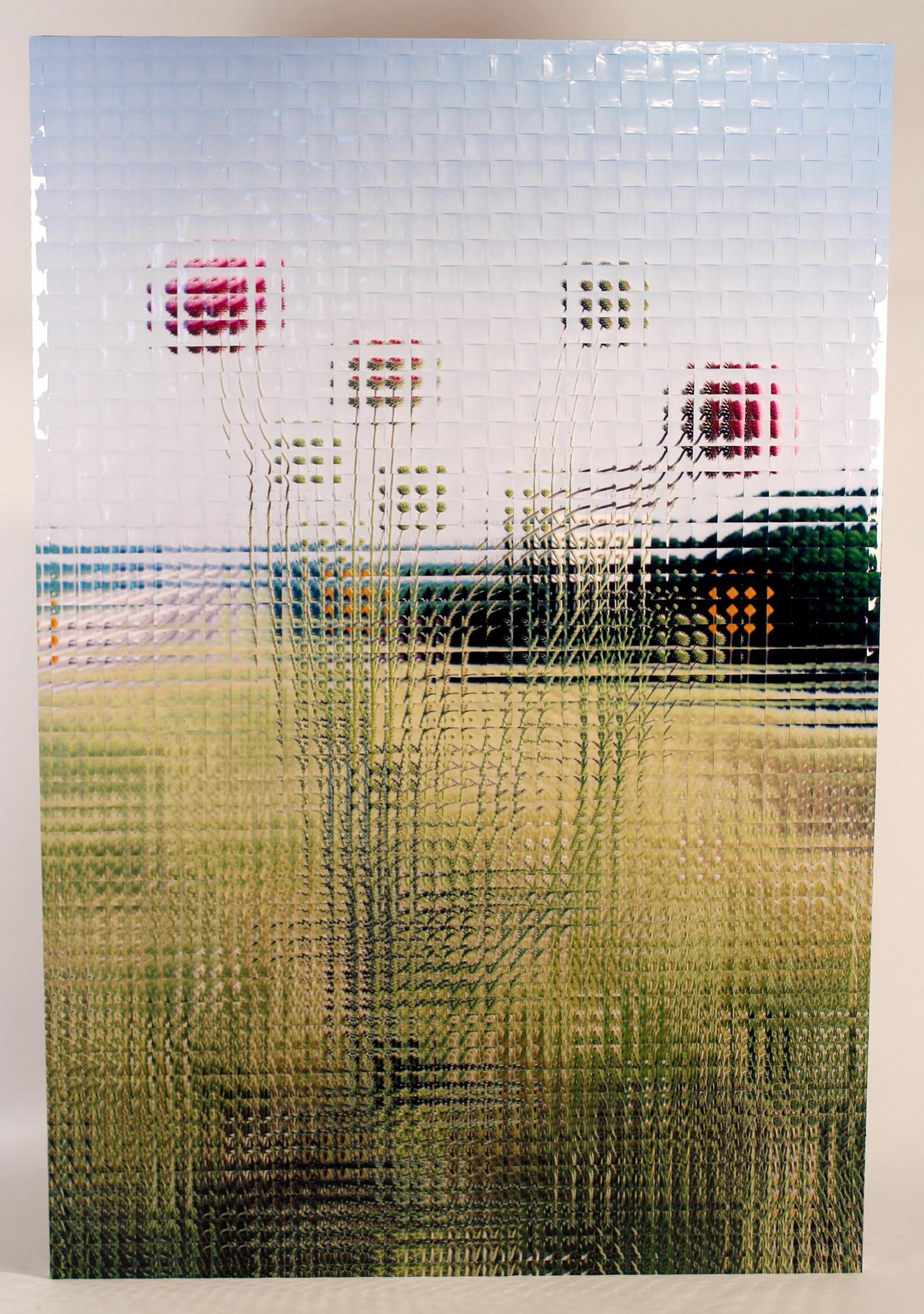 Reconstruction photographique de Rusty Scruby intitulée Jim Miller Thistle, 2005 en vente 1