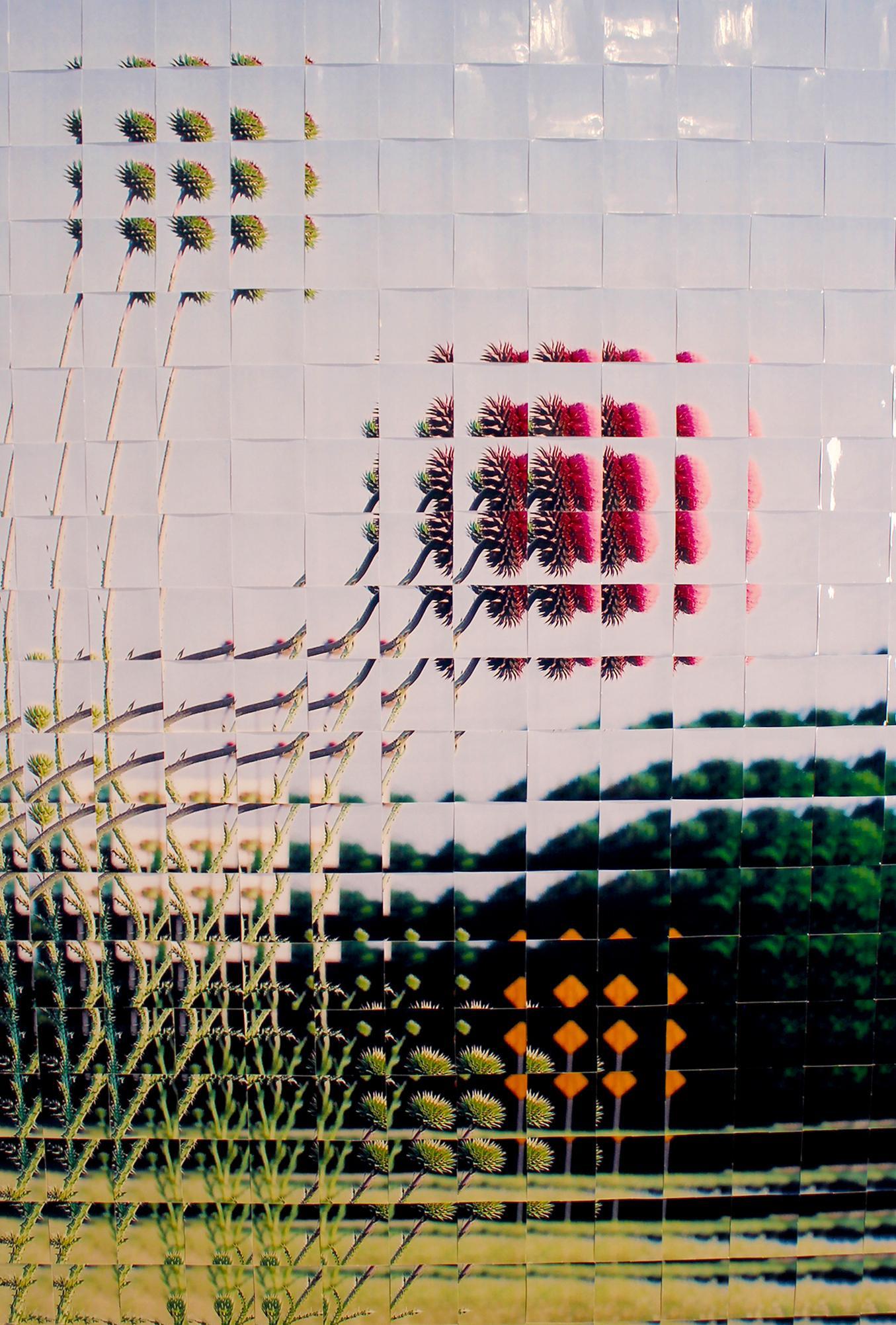 Reconstruction photographique de Rusty Scruby intitulée Jim Miller Thistle, 2005 en vente 3