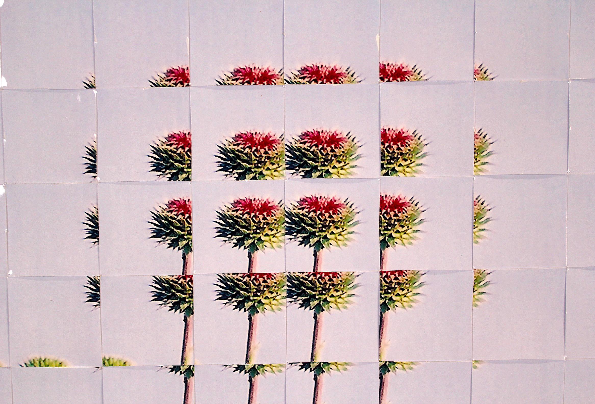 Reconstruction photographique de Rusty Scruby intitulée Jim Miller Thistle, 2005 en vente 6