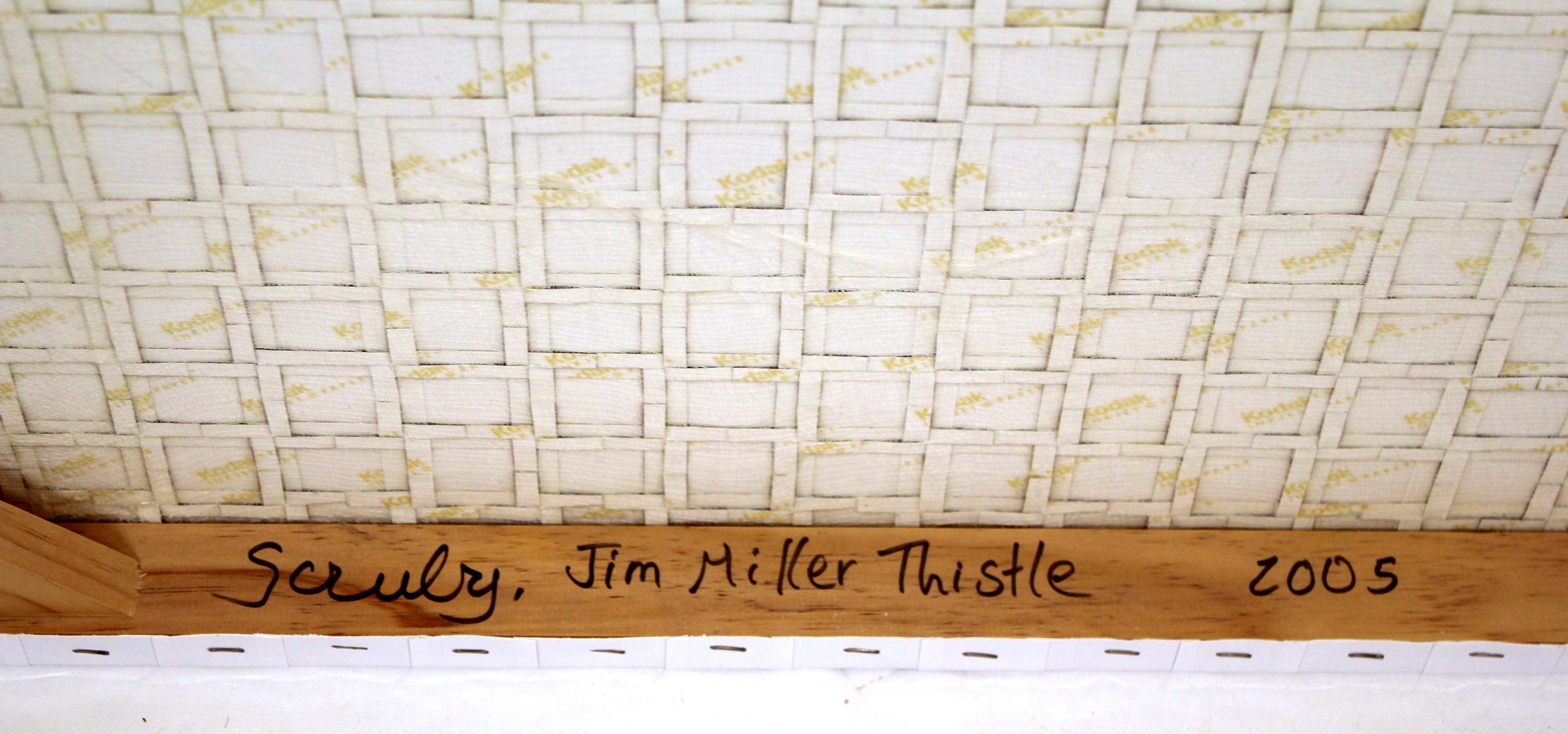 Reconstruction photographique de Rusty Scruby intitulée Jim Miller Thistle, 2005 en vente 8