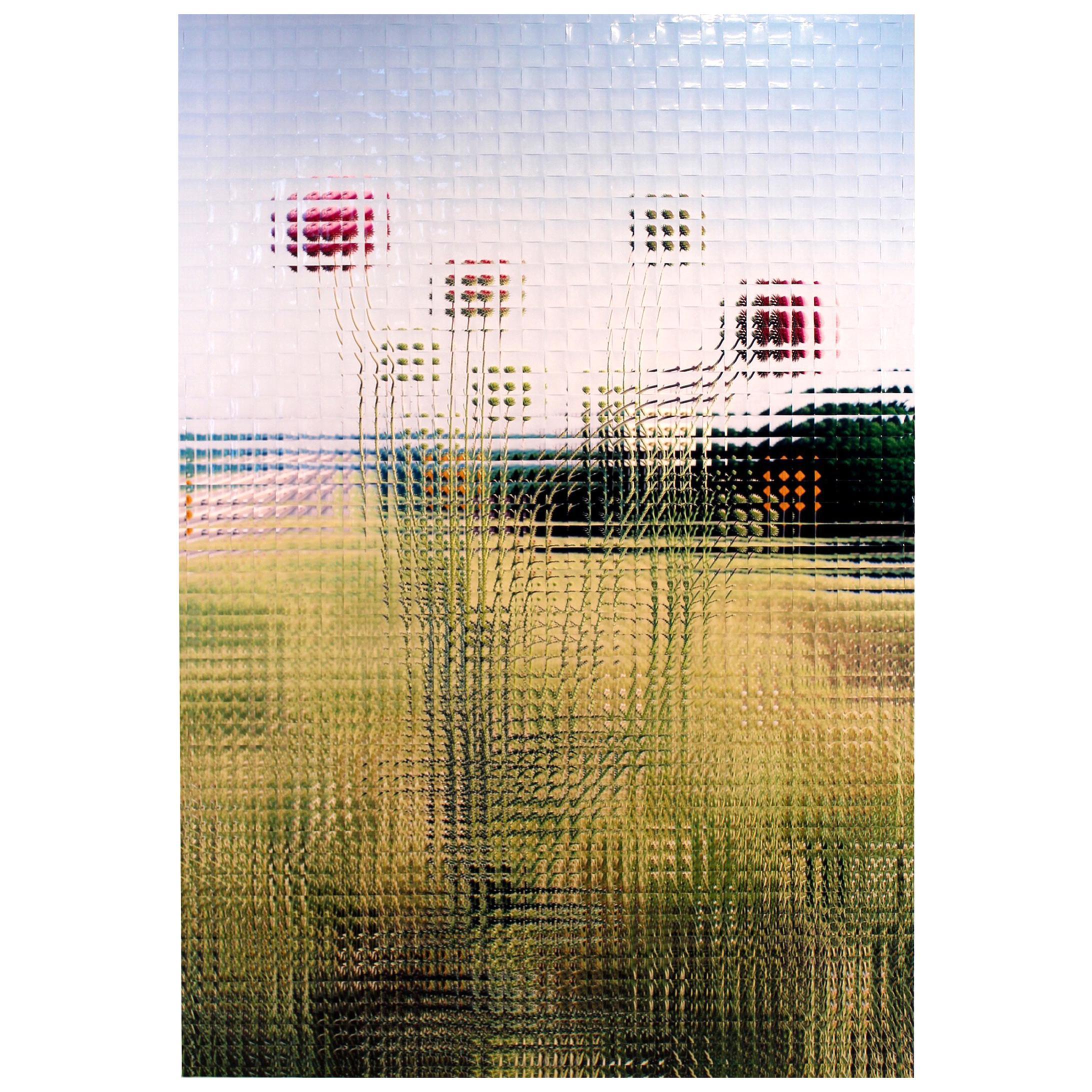 Rusty Scruby Fotorekonstruktion mit dem Titel Jim Miller Distel, 2005