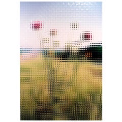 Ricostruzione fotografica di Rusty Scruby intitolata Jim Miller Thistle, 2005